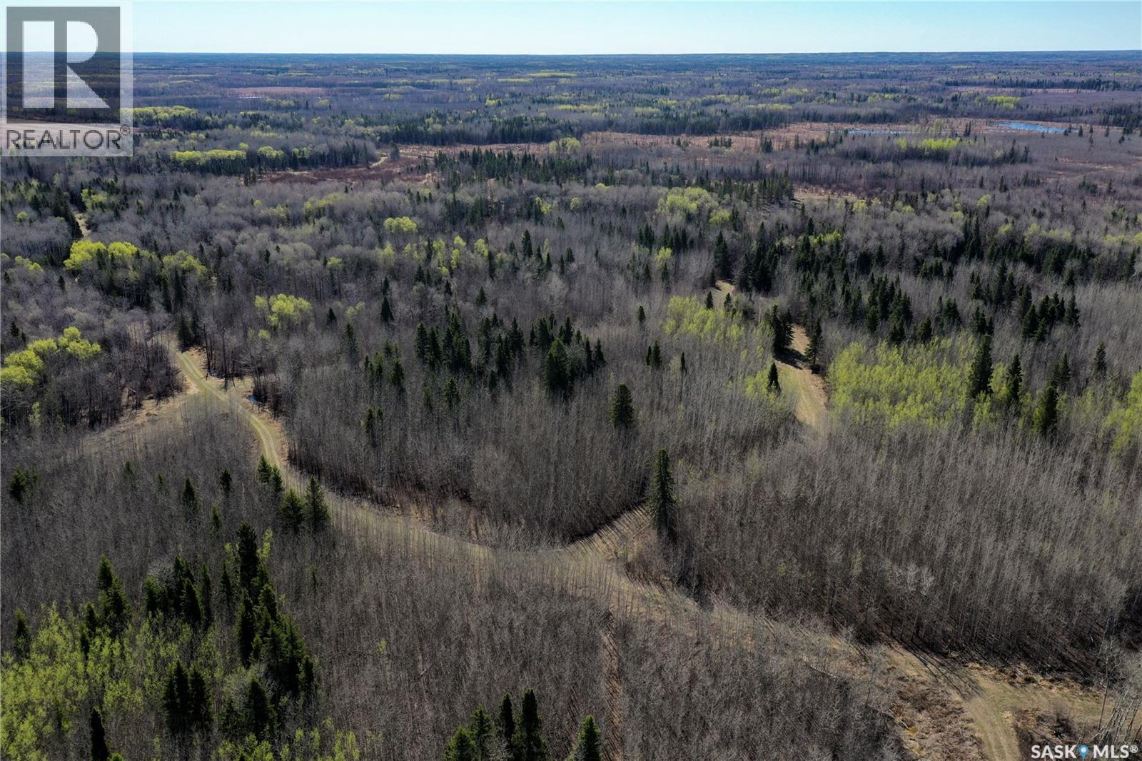 Martin Farm-Somme, Porcupine Rm No. 395, Saskatchewan  S0E 1H0 - Photo 42 - SK036036