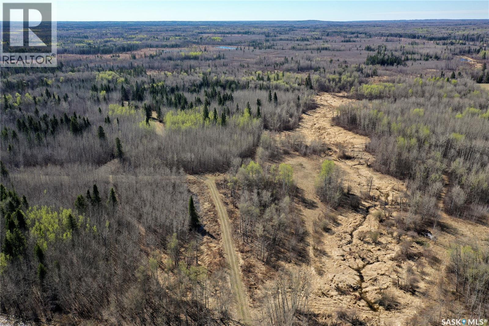 Martin Farm-Somme, Porcupine Rm No. 395, Saskatchewan  S0E 1H0 - Photo 41 - SK036036