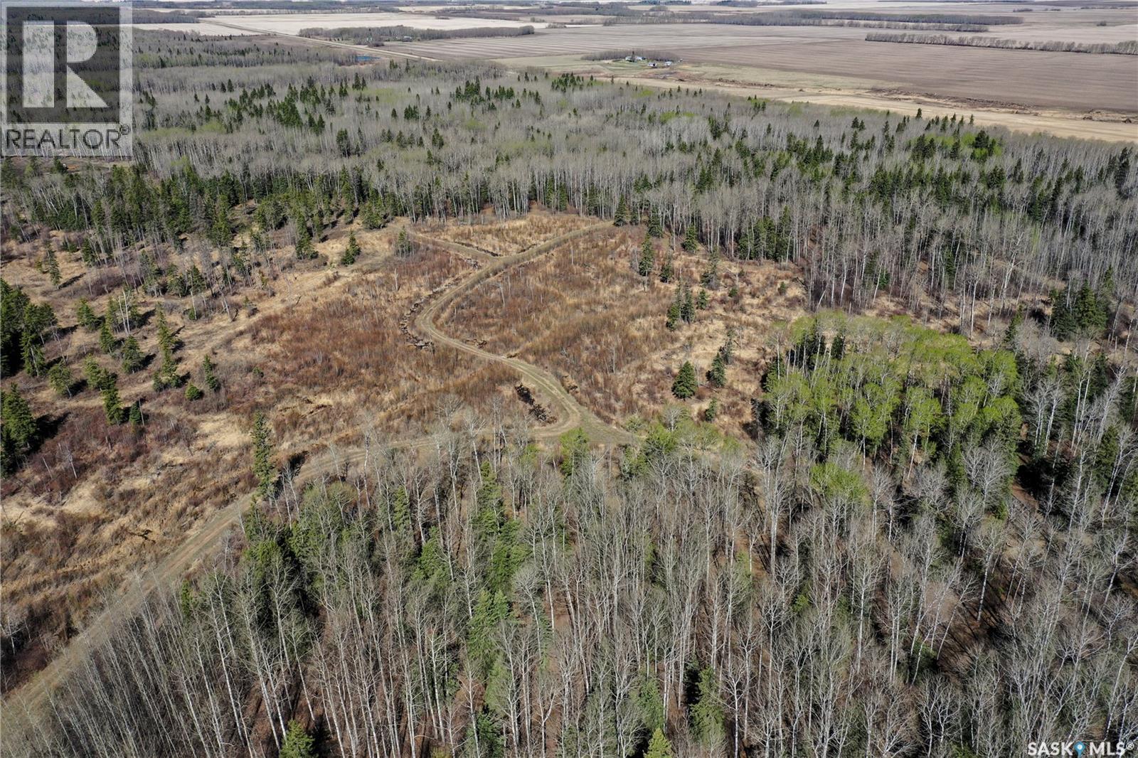 Martin Farm-Somme, Porcupine Rm No. 395, Saskatchewan  S0E 1H0 - Photo 43 - SK036036