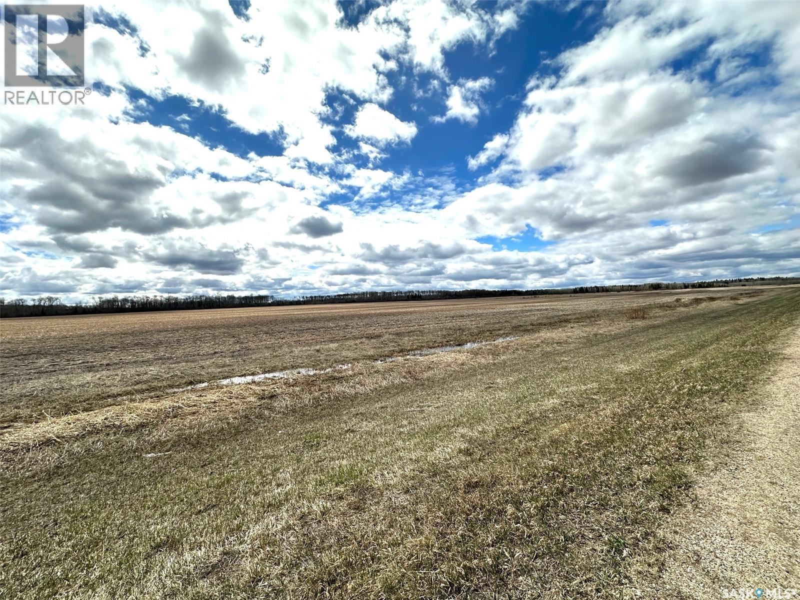 Martin Farm-Somme, Porcupine Rm No. 395, Saskatchewan  S0E 1H0 - Photo 31 - SK036036