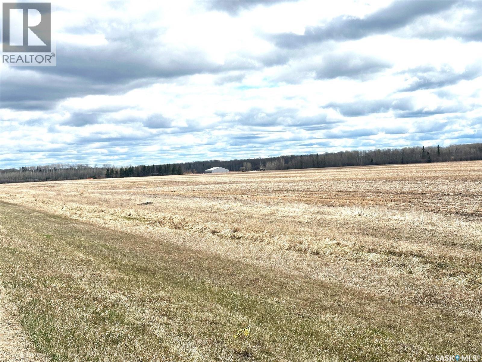 Martin Farm-Somme, Porcupine Rm No. 395, Saskatchewan  S0E 1H0 - Photo 30 - SK036036