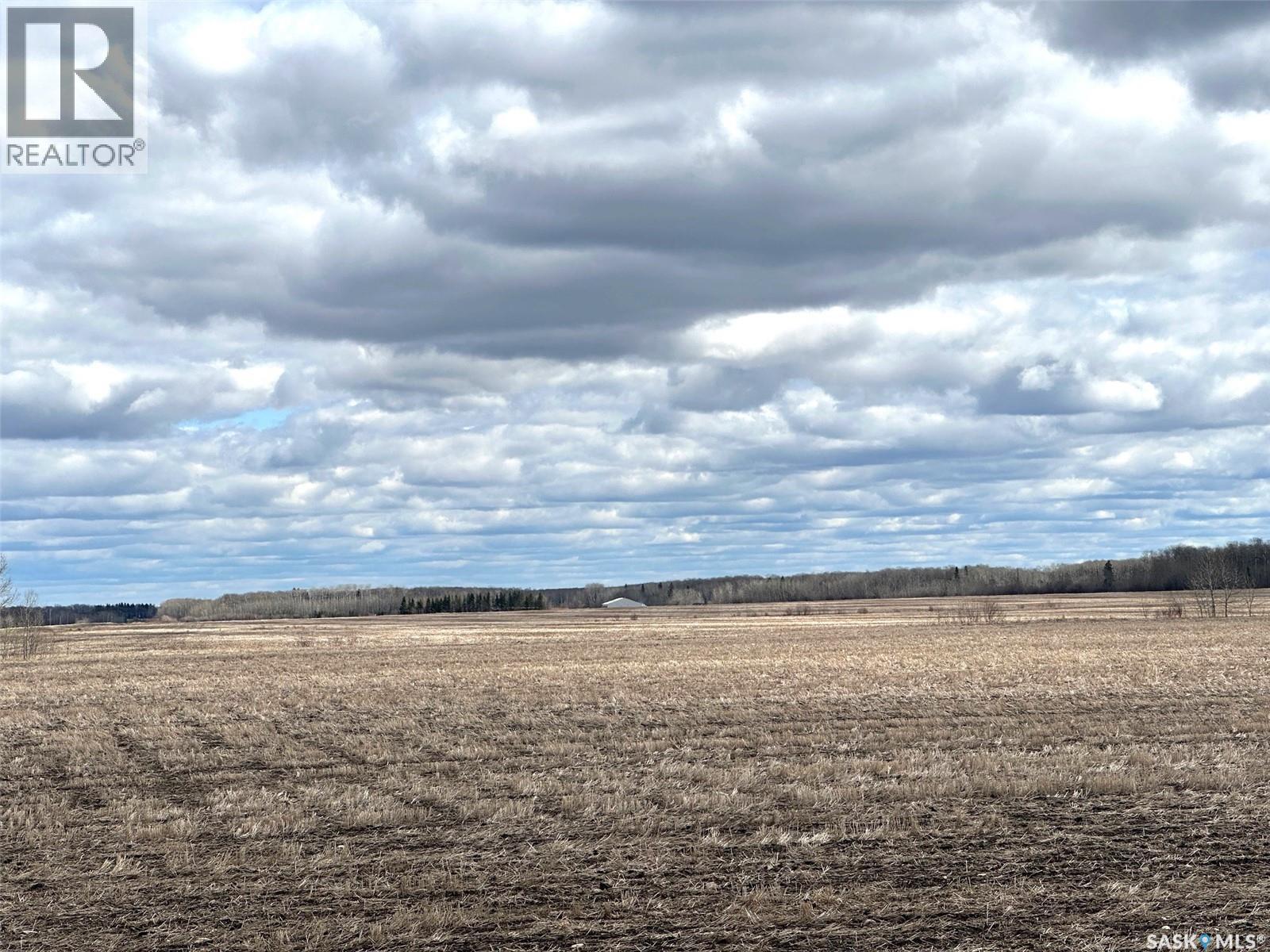 Martin Farm-Somme, Porcupine Rm No. 395, Saskatchewan  S0E 1H0 - Photo 32 - SK036036
