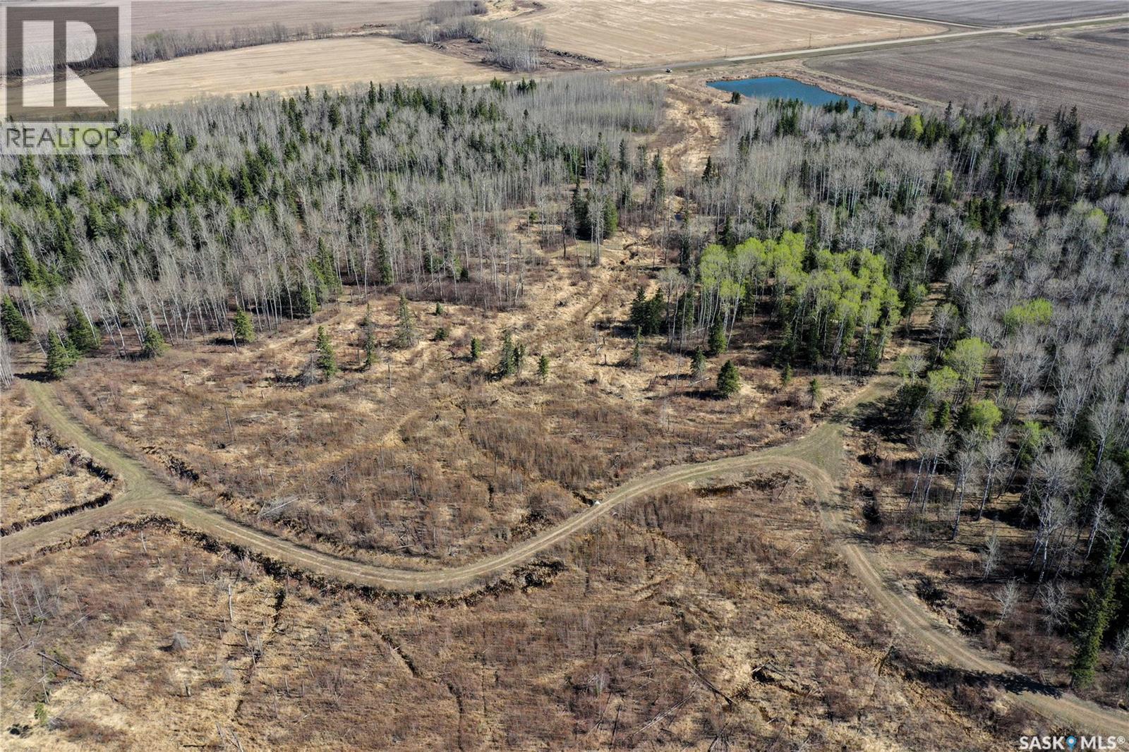 Martin Farm-Somme, Porcupine Rm No. 395, Saskatchewan  S0E 1H0 - Photo 51 - SK036036