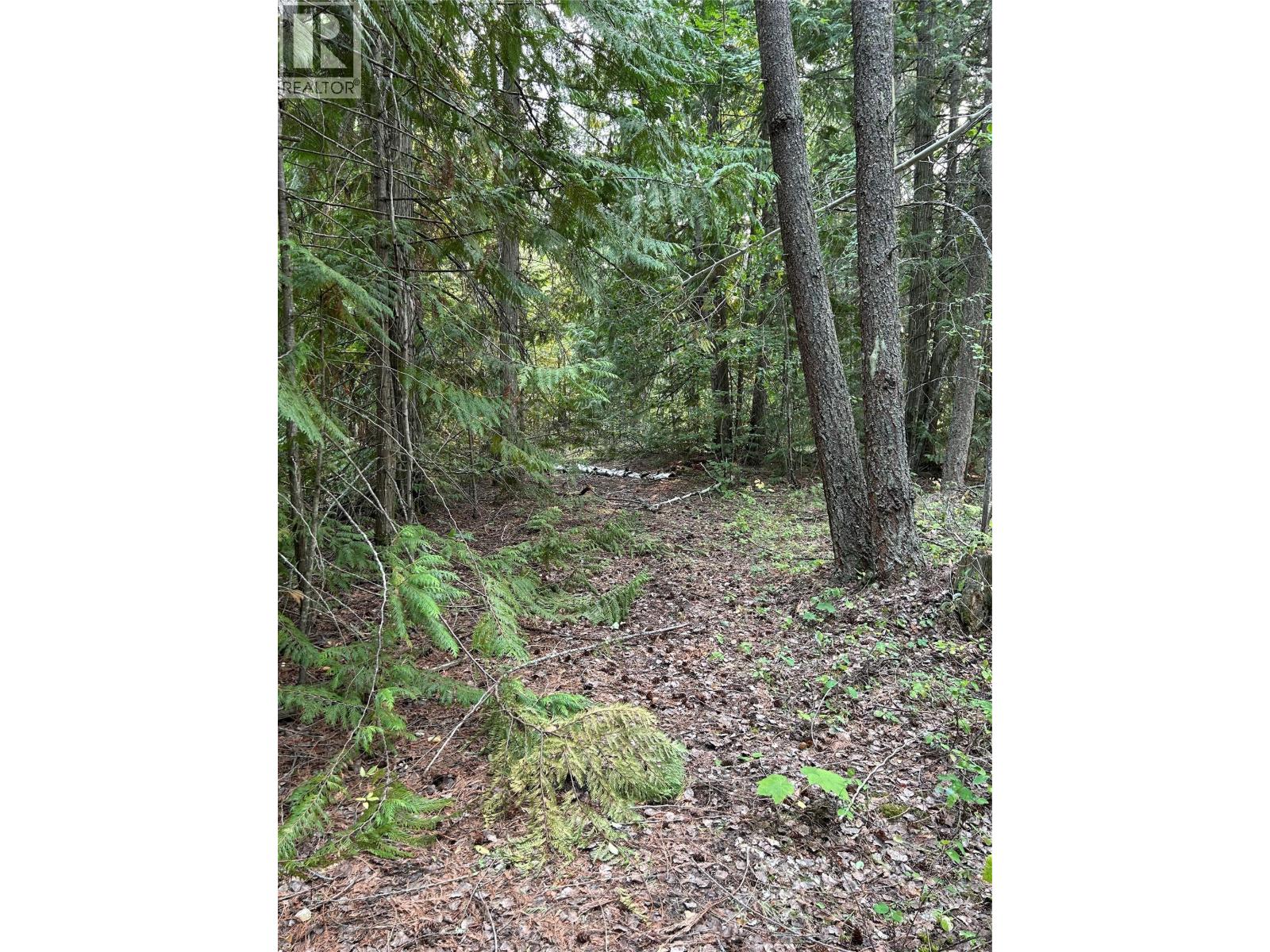 8588 Black Mountain Road, Chase, British Columbia  V0E 1M0 - Photo 3 - 10397053