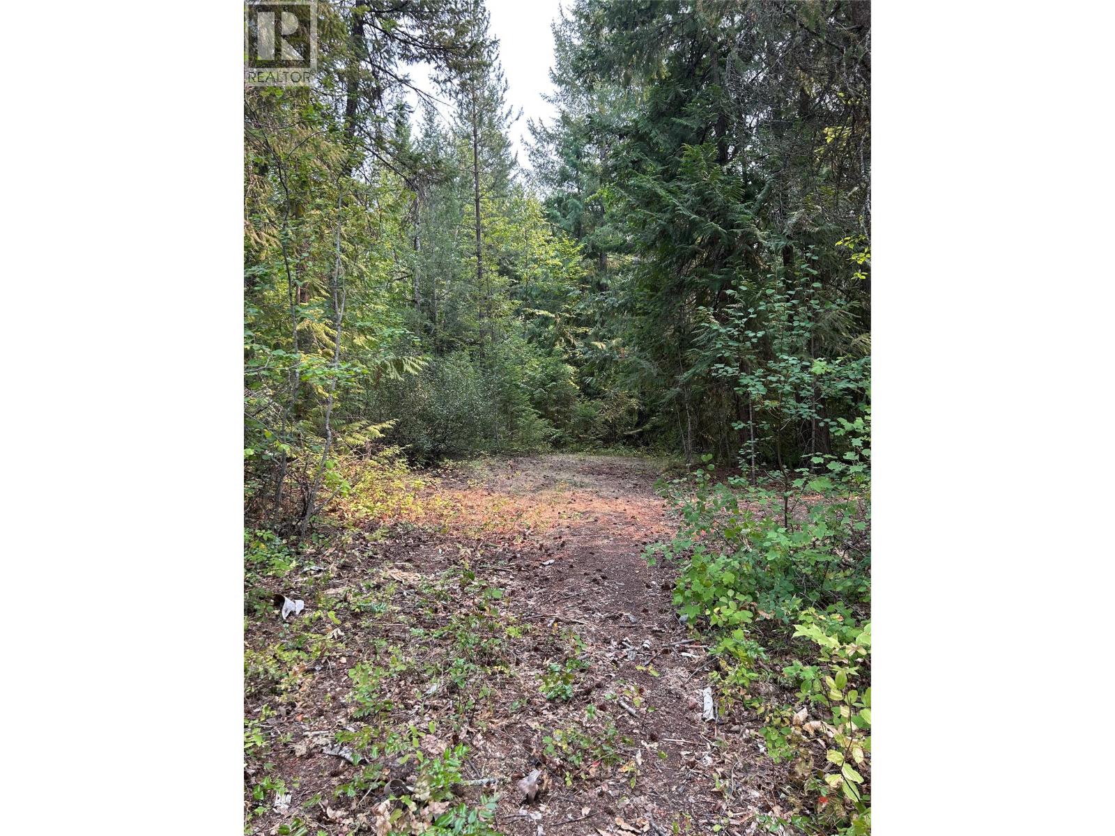 8588 Black Mountain Road, Chase, British Columbia  V0E 1M0 - Photo 2 - 10397053