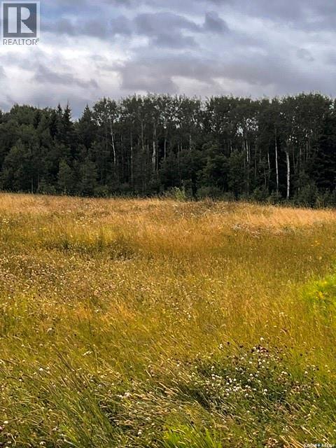 Larsen Ranch, Big River Rm No. 555, Saskatchewan  S0J 0E0 - Photo 10 - SK044945