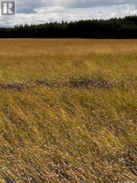 Larsen Ranch, Big River Rm No. 555, Saskatchewan  S0J 0E0 - Photo 11 - SK044945