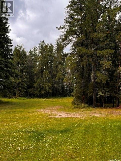 Larsen Ranch, Big River Rm No. 555, Saskatchewan  S0J 0E0 - Photo 33 - SK044945