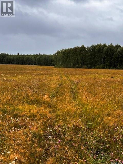 Larsen Ranch, Big River Rm No. 555, Saskatchewan  S0J 0E0 - Photo 6 - SK044945