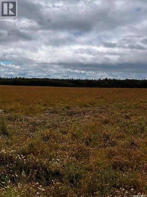 Larsen Ranch, Big River Rm No. 555, Saskatchewan  S0J 0E0 - Photo 9 - SK044945