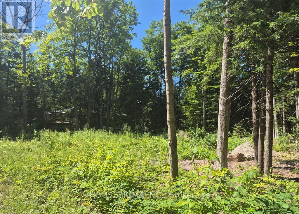 68 Beauremi Road, Tiny, Ontario  L0L 2J0 - Photo 18 - S13649124