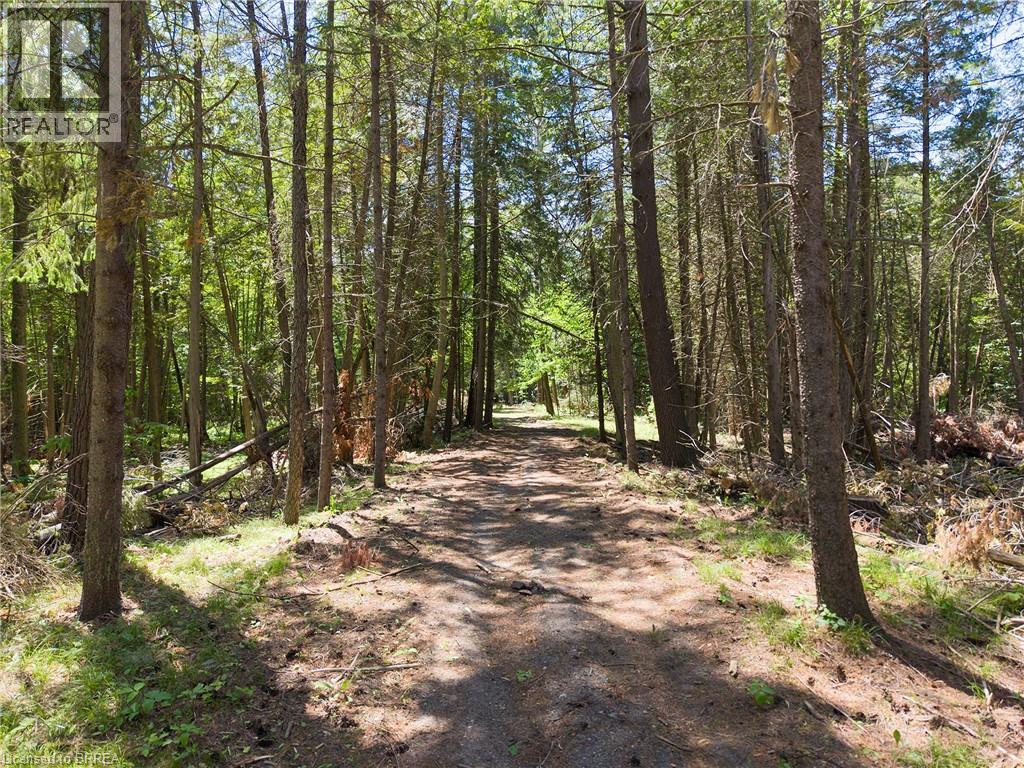 1521 Windham Road 19, Norfolk County, Ontario  N0E 1H0 - Photo 37 - 40852035