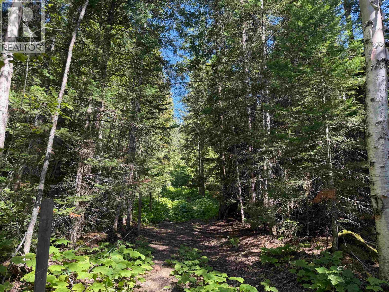 7900 Read Road, Dunster, British Columbia  V0J 1J0 - Photo 14 - R3153558