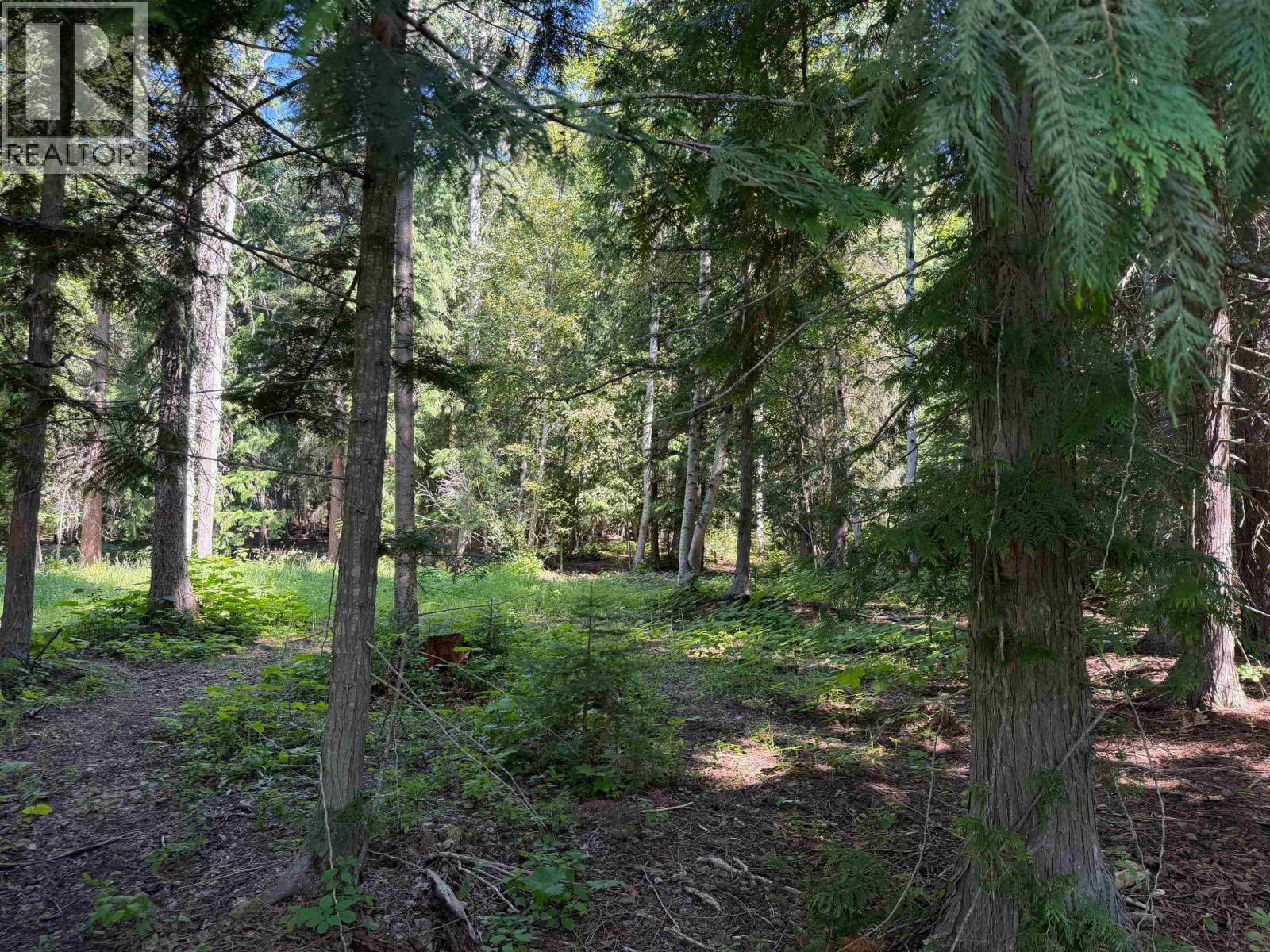 7900 Read Road, Dunster, British Columbia  V0J 1J0 - Photo 13 - R3153558