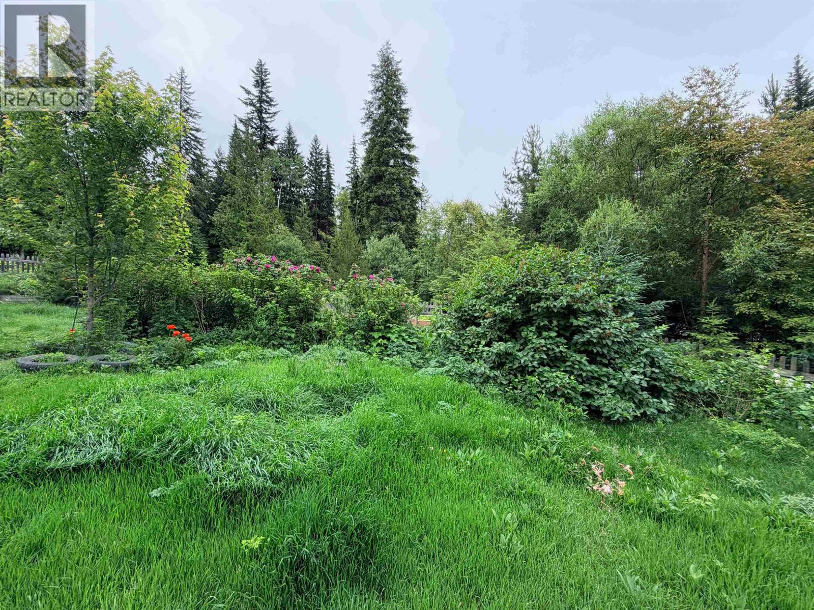7900 Read Road, Dunster, British Columbia  V0J 1J0 - Photo 11 - R3153558