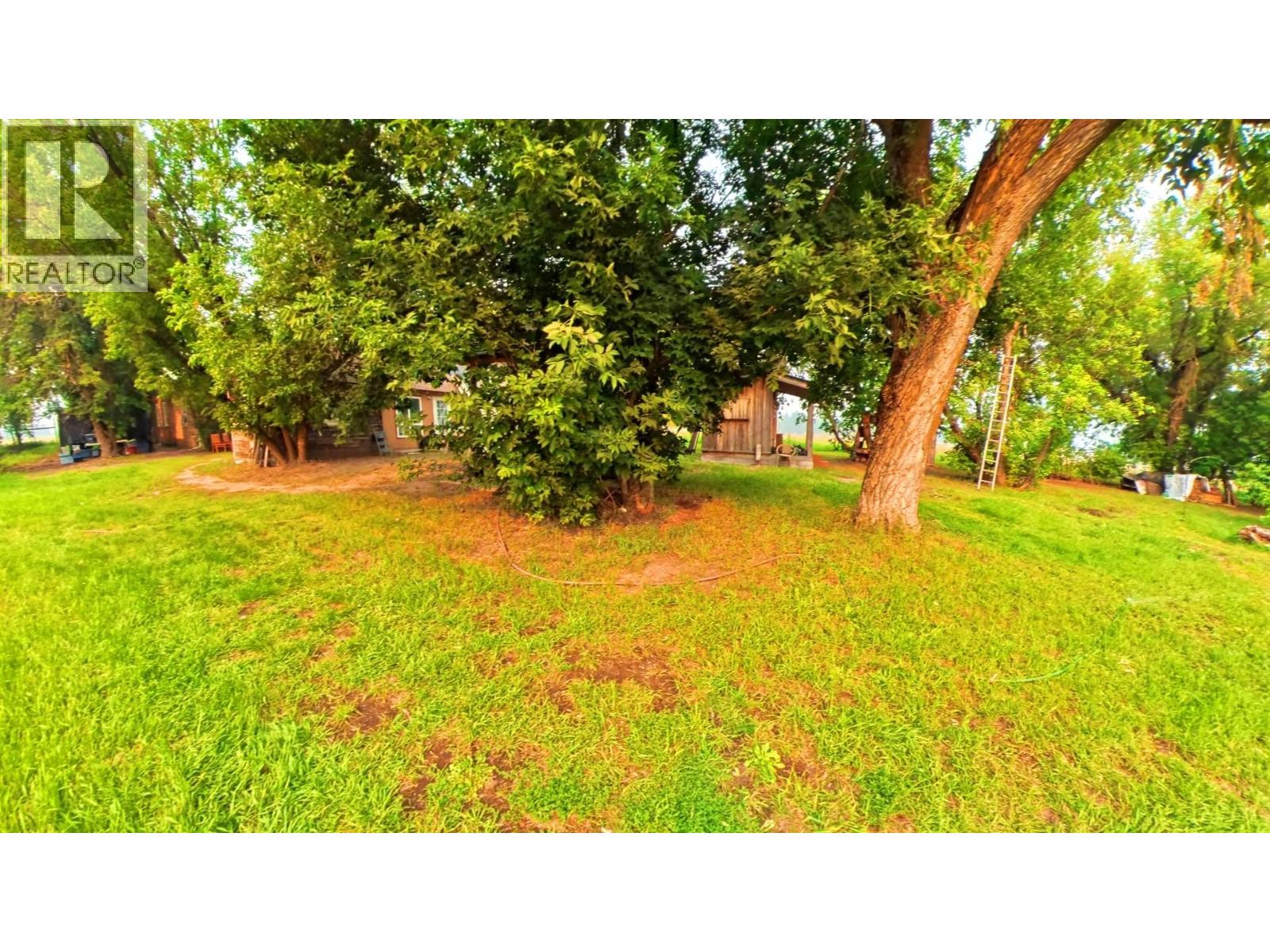 780 Cameron Avenue, Grand Forks, British Columbia  V0H 1H4 - Photo 68 - 10391459