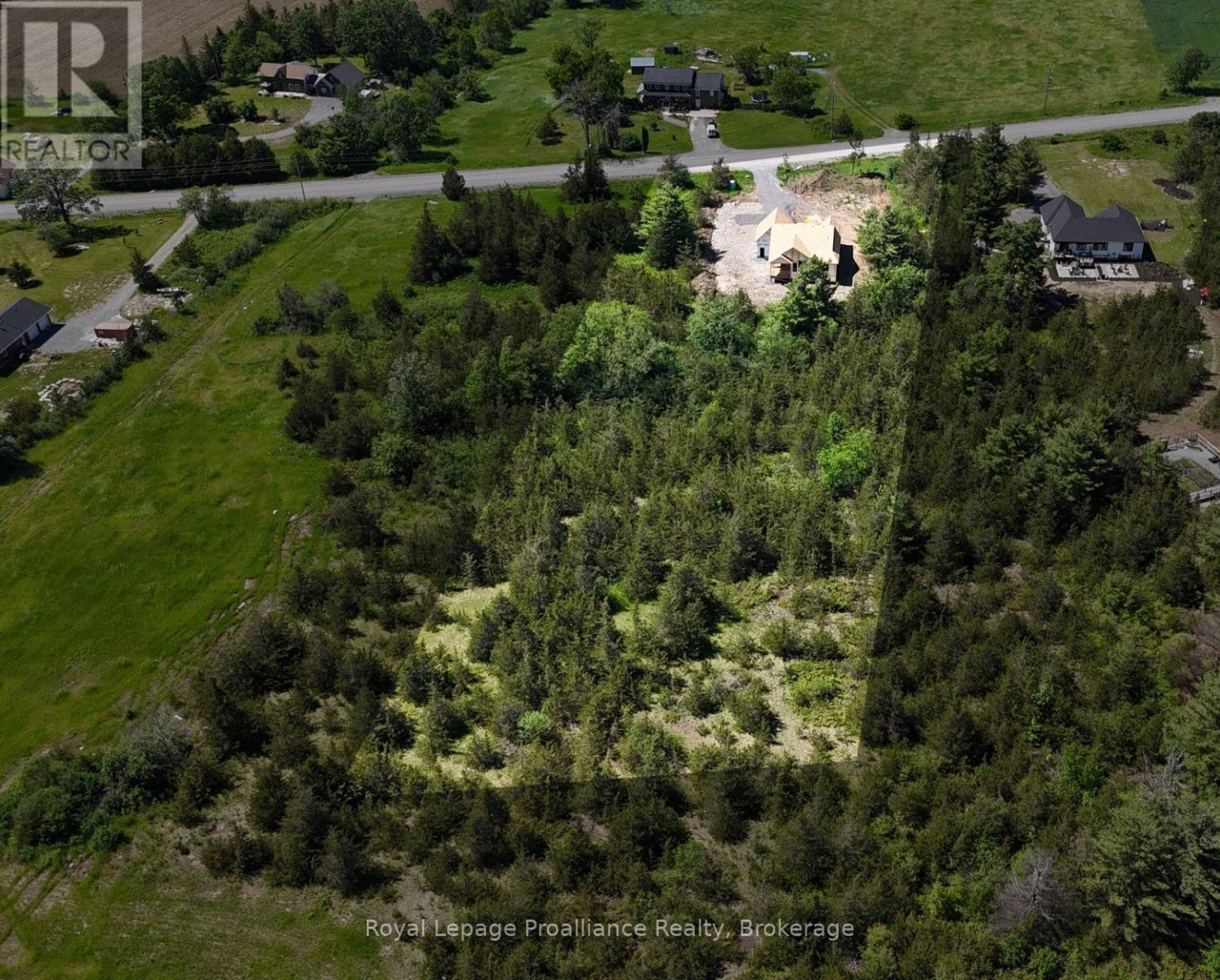 102 Dewey Road, Stone Mills, Ontario  K0K 3N0 - Photo 5 - X13490032