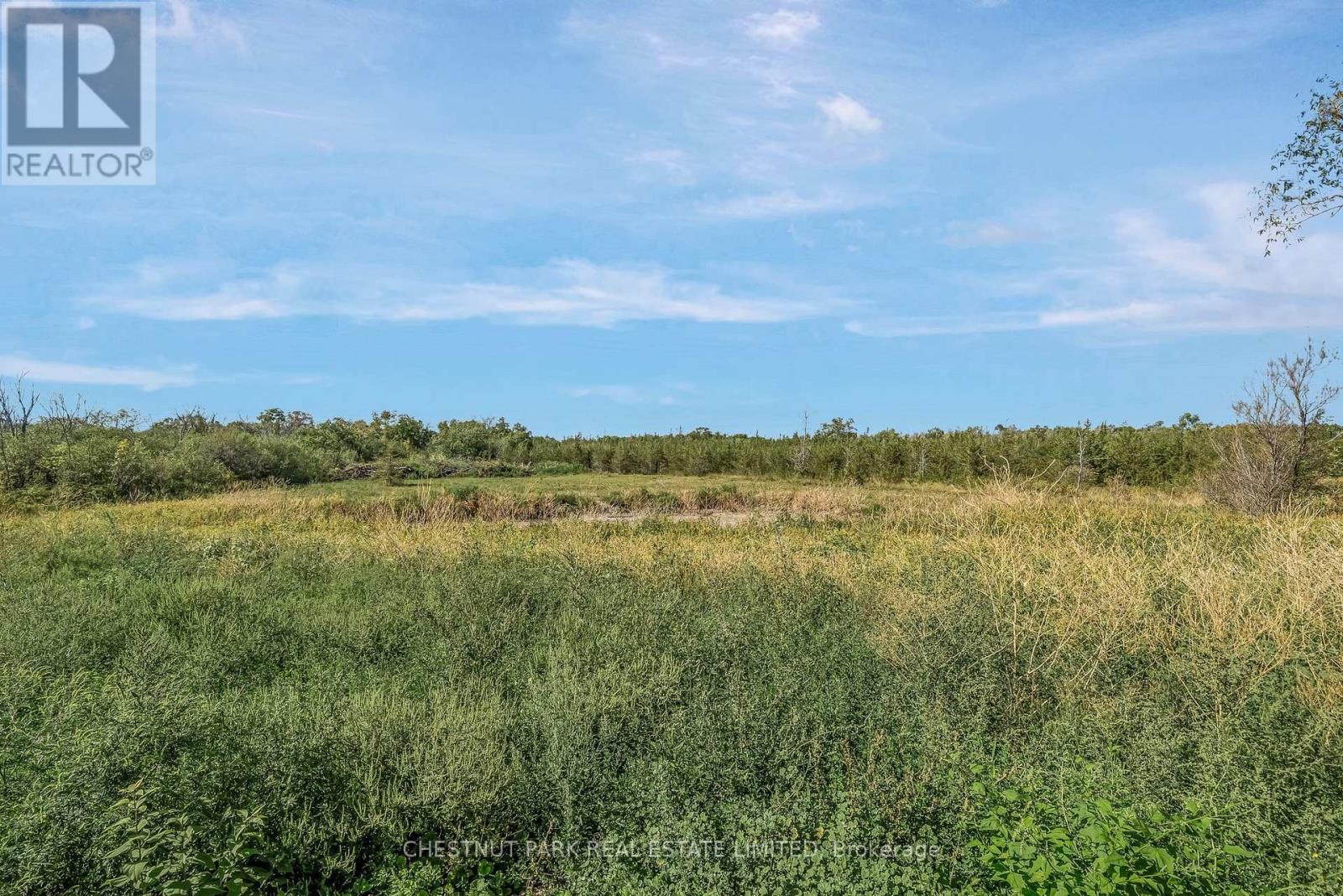 1253 Babylon Road, Prince Edward County, Ontario  K0K 2T0 - Photo 14 - X13652536