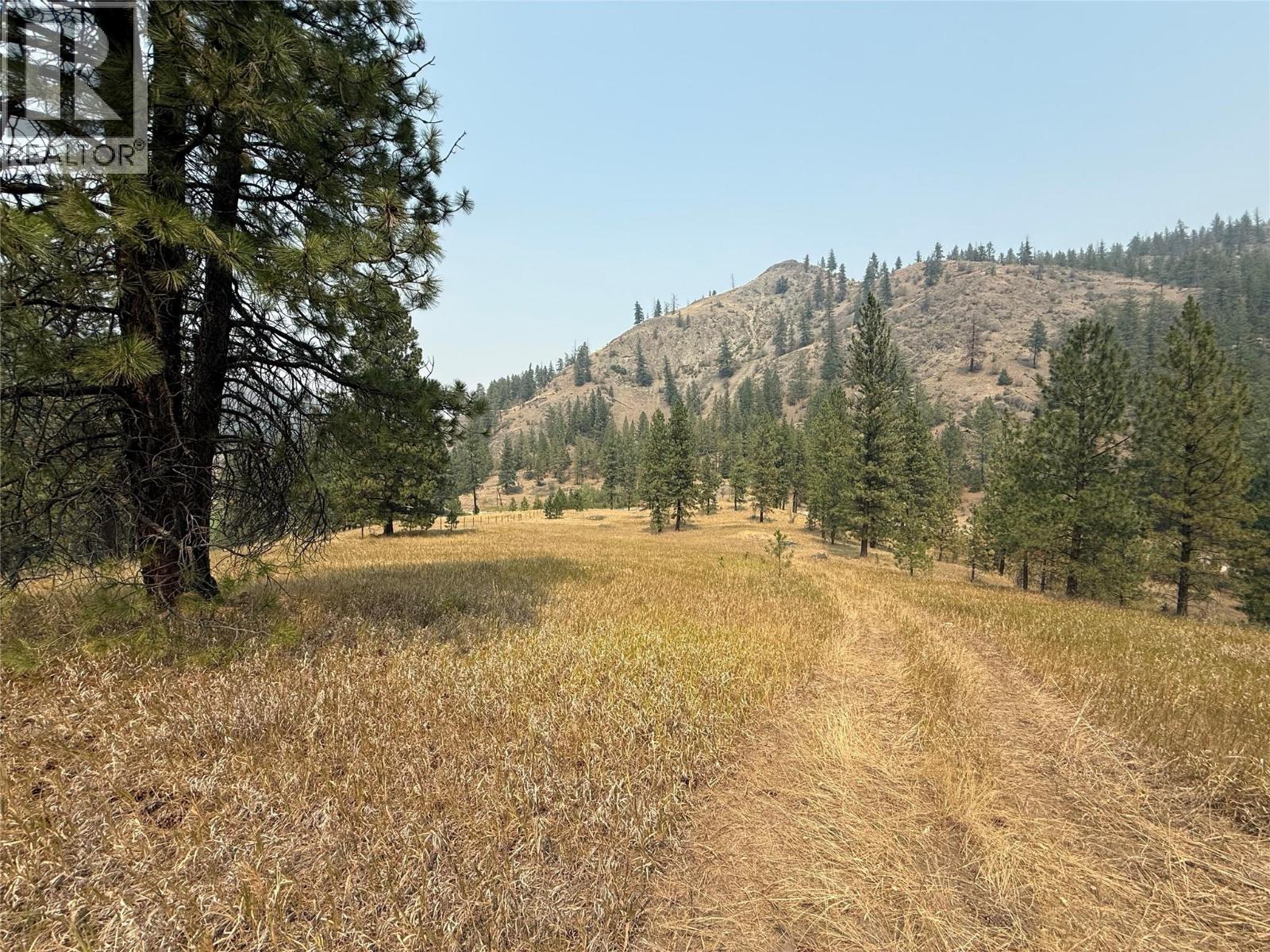 Fairview White Lake Road Lot# 1, Oliver, British Columbia  V0H 1T5 - Photo 8 - 10397127