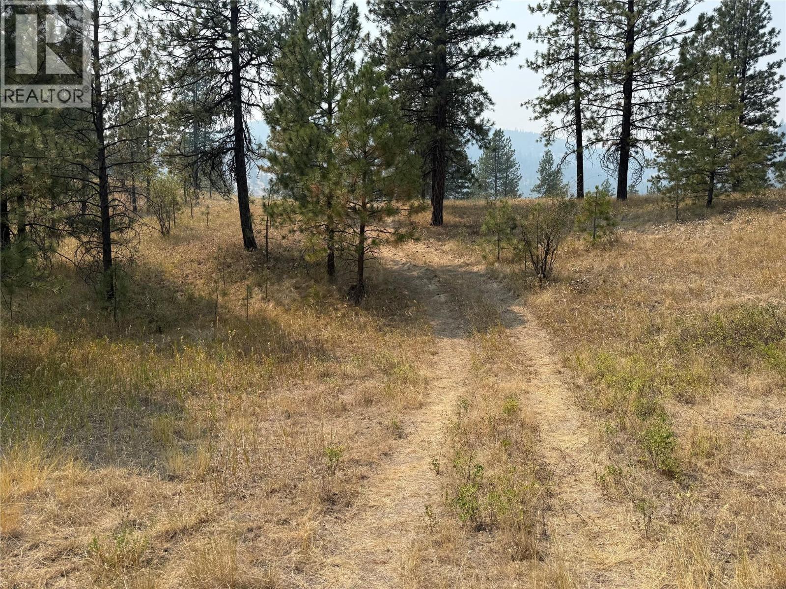Fairview White Lake Road Lot# 1, Oliver, British Columbia  V0H 1T5 - Photo 3 - 10397127