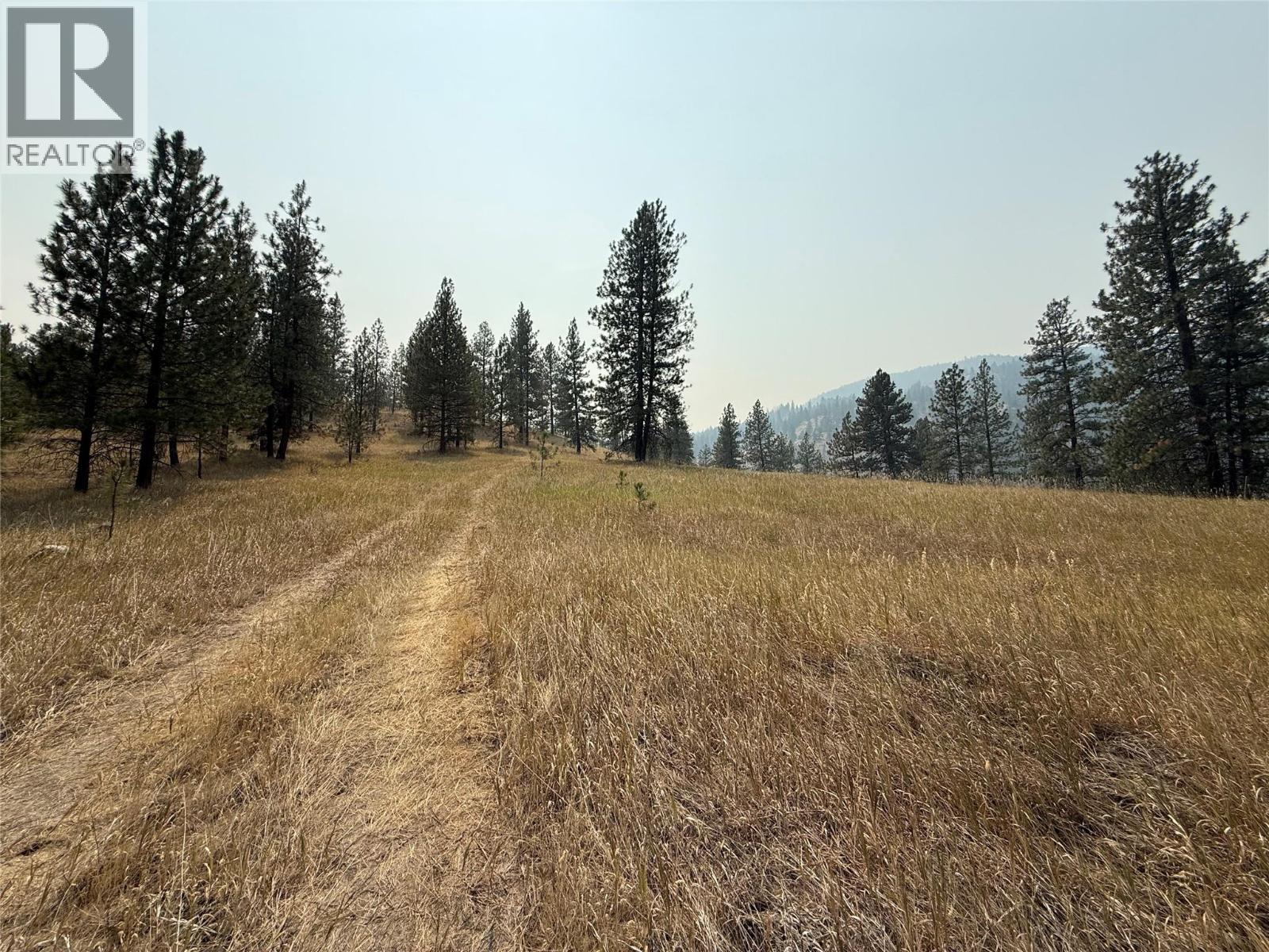 Fairview White Lake Road Lot# 1, Oliver, British Columbia  V0H 1T5 - Photo 5 - 10397127