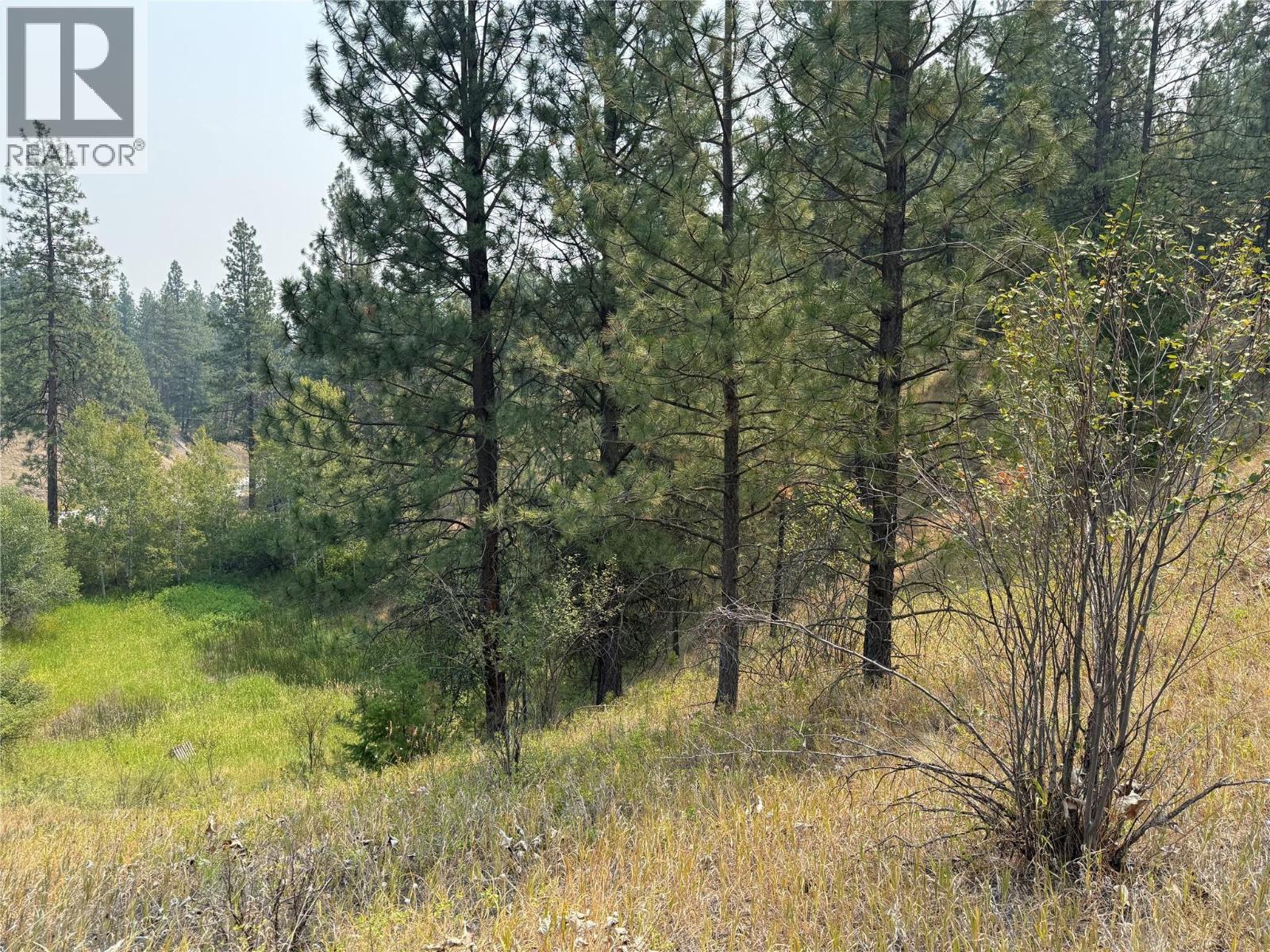 Fairview White Lake Road Lot# 1, Oliver, British Columbia  V0H 1T5 - Photo 10 - 10397127