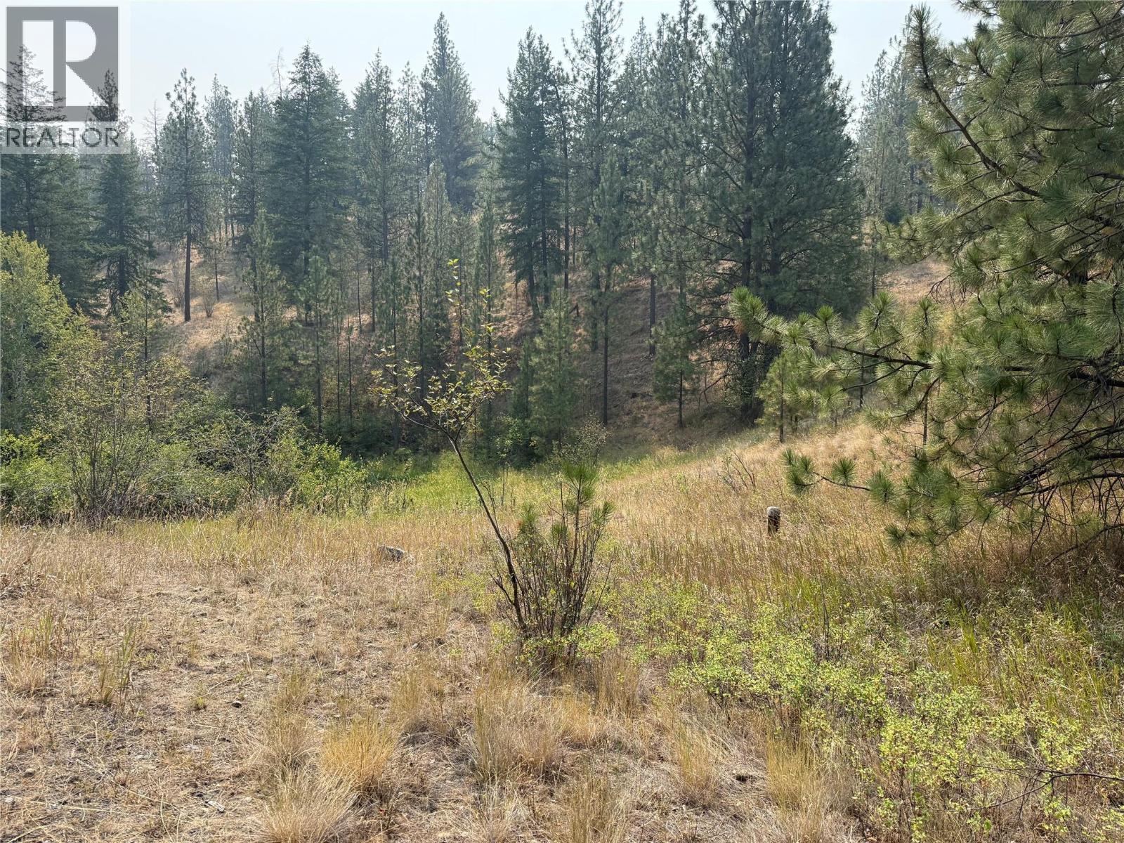 Fairview White Lake Road Lot# 1, Oliver, British Columbia  V0H 1T5 - Photo 2 - 10397127