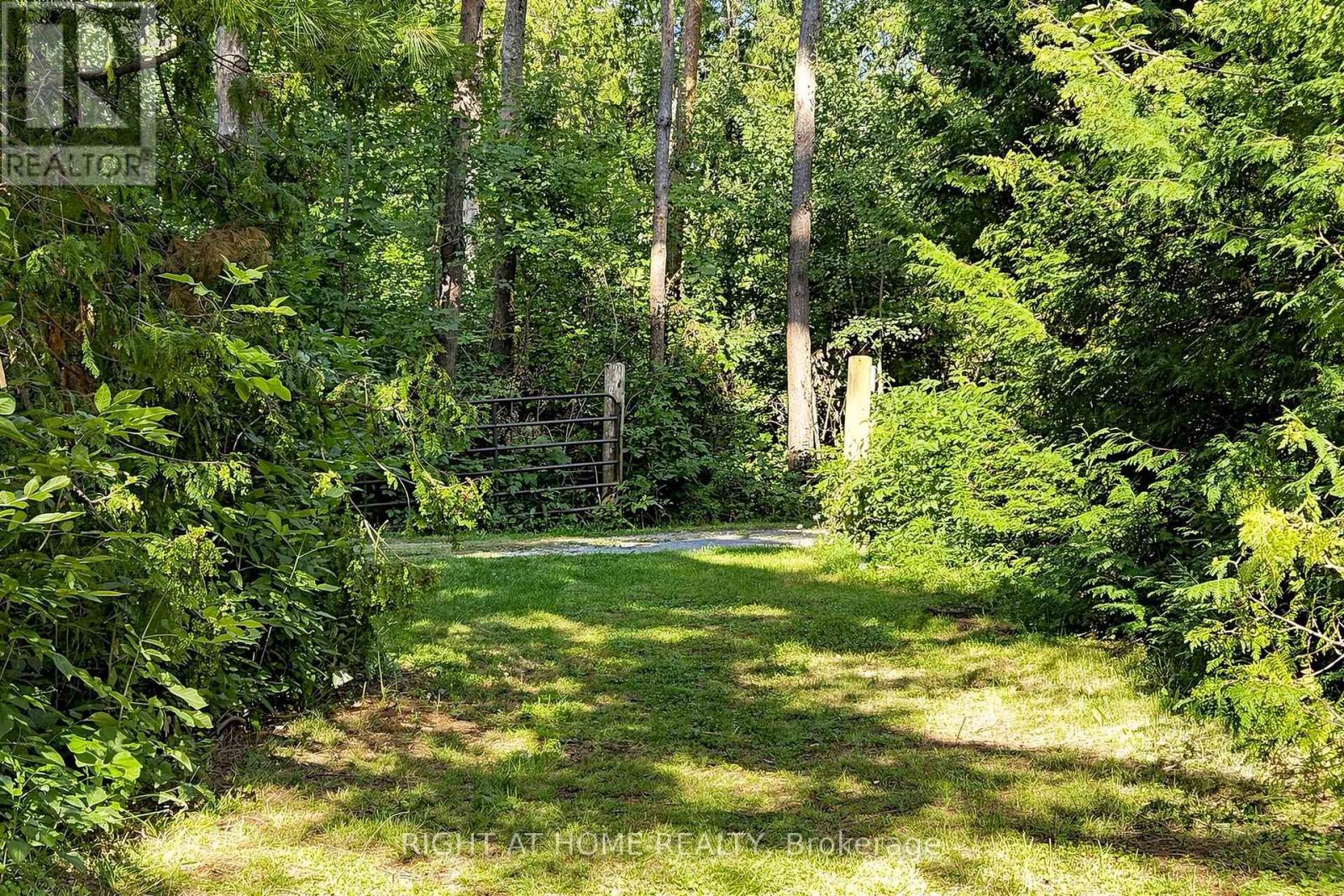 3016 Cole Road, East Gwillimbury, Ontario  L0G 1R0 - Photo 32 - N13652472
