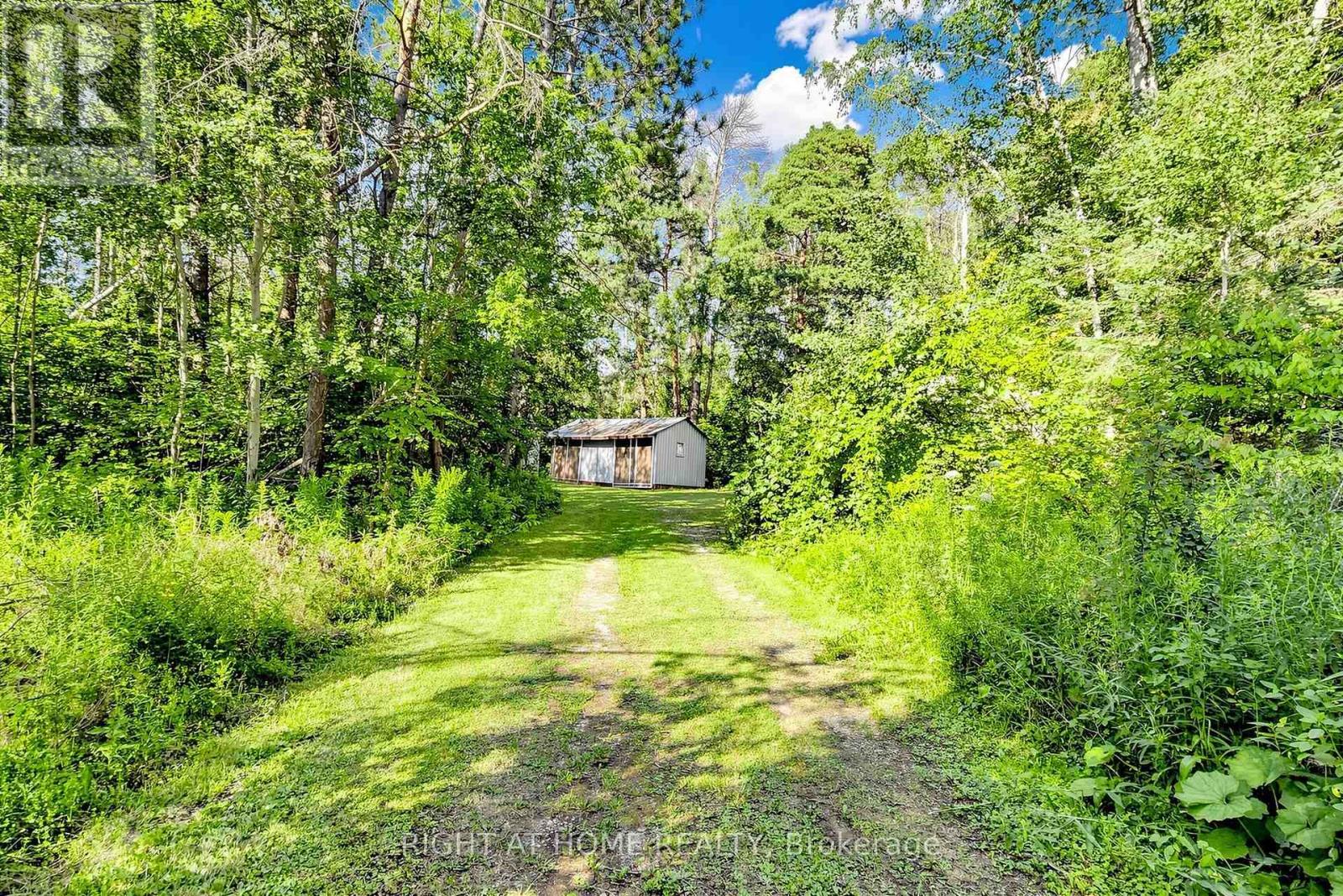 3016 Cole Road, East Gwillimbury, Ontario  L0G 1R0 - Photo 35 - N13652472