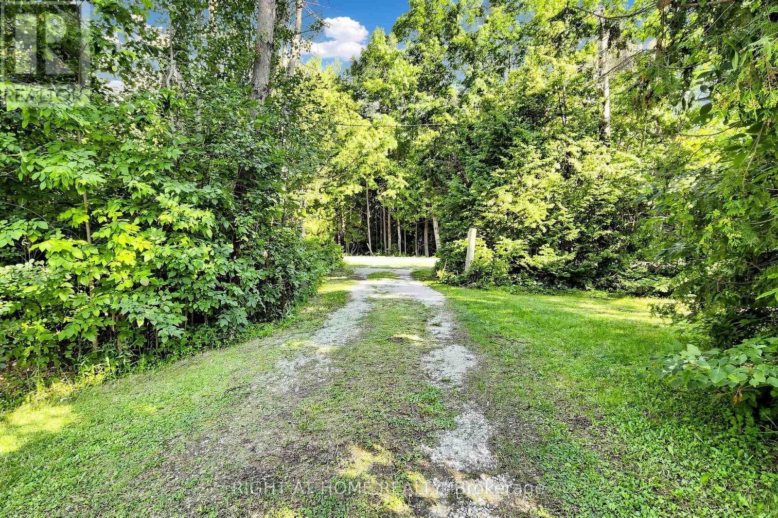 3016 Cole Road, East Gwillimbury, Ontario  L0G 1R0 - Photo 38 - N13652472