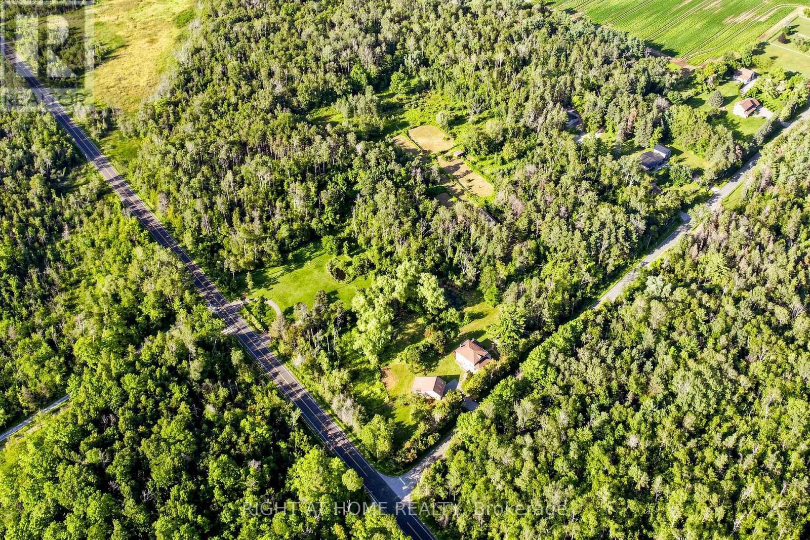 3016 Cole Road, East Gwillimbury, Ontario  L0G 1R0 - Photo 41 - N13652472