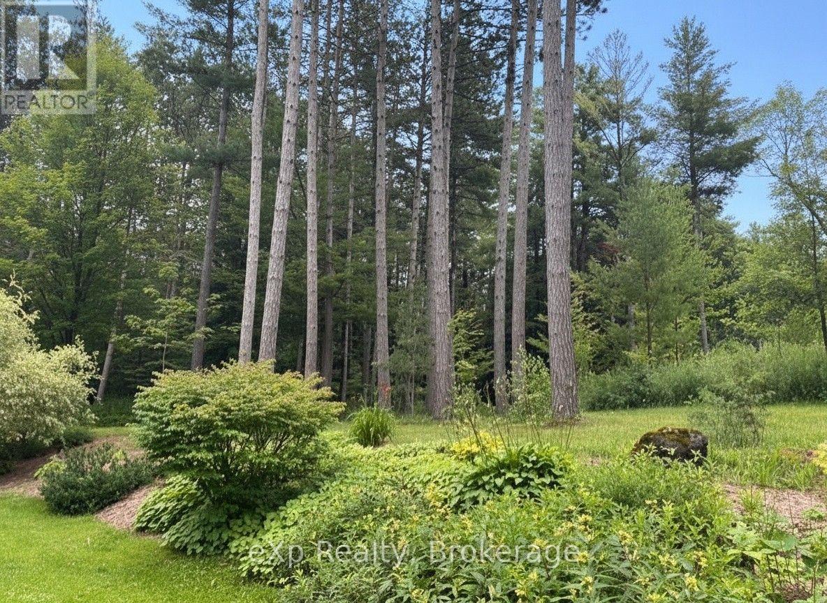 303709 South Line, West Grey, Ontario  N0C 1K0 - Photo 11 - X12985842