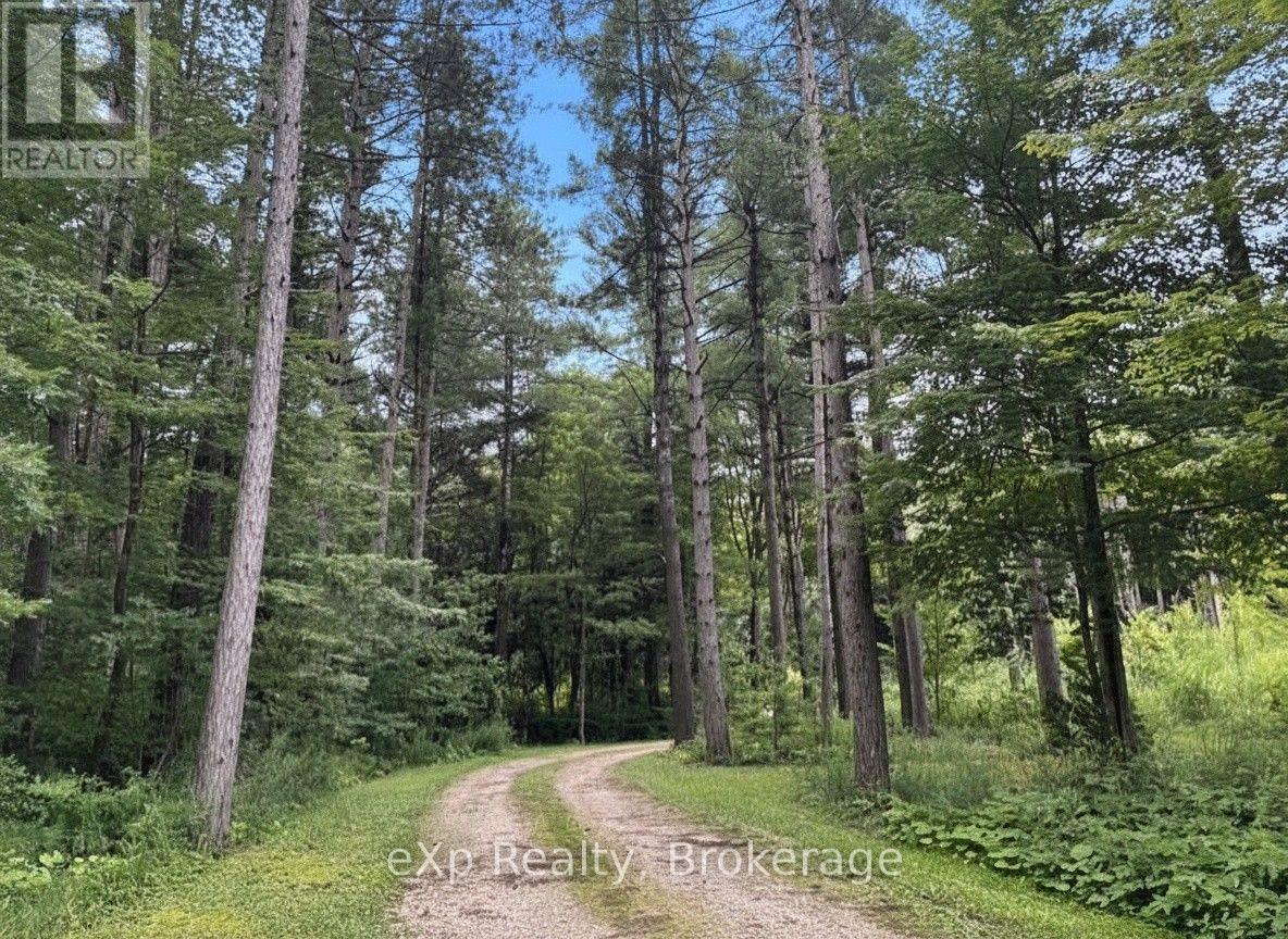 303709 South Line, West Grey, Ontario  N0C 1K0 - Photo 6 - X12985842