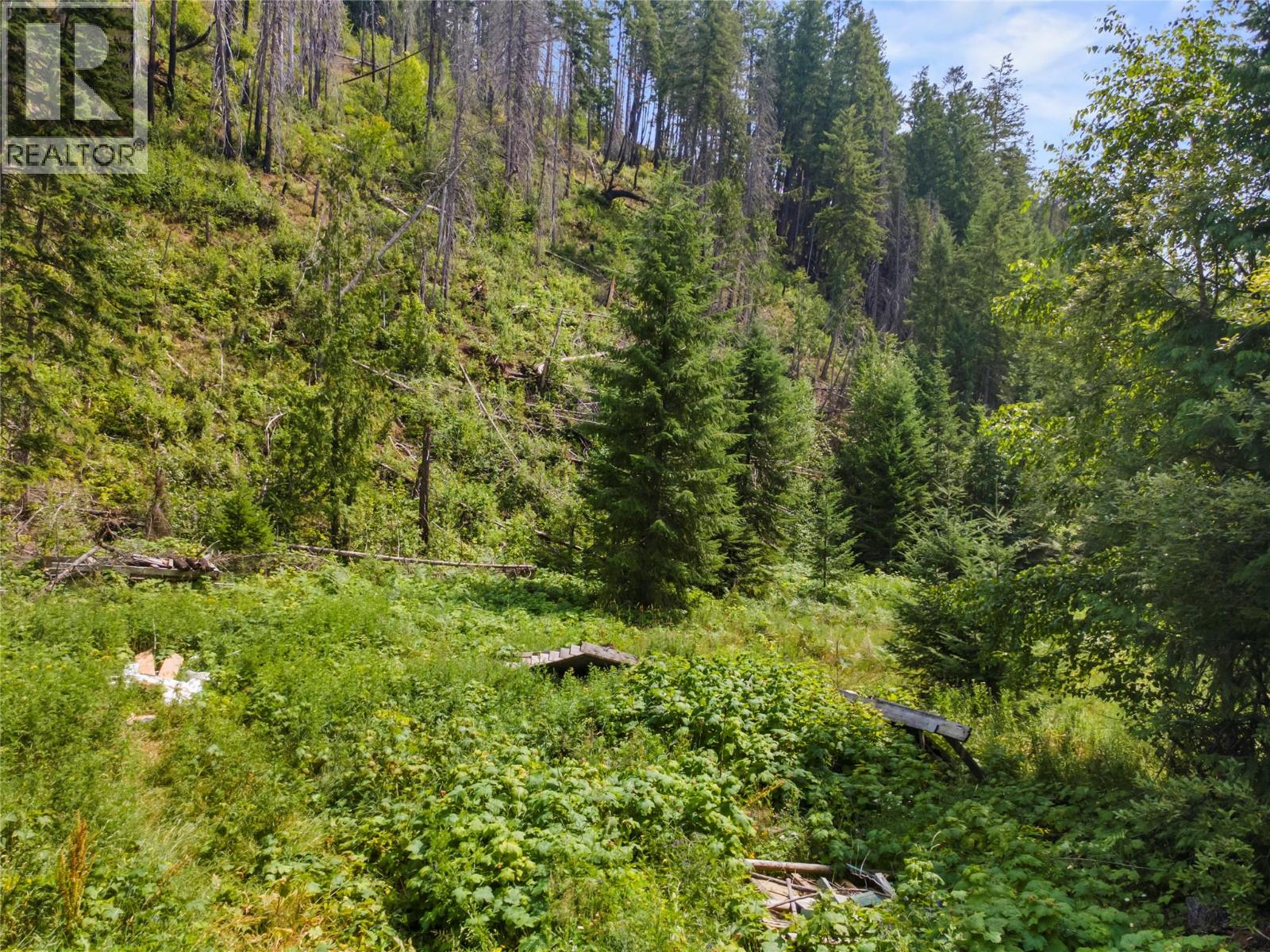 13180 Lockhart Road, Boswell, British Columbia V0B 1A4 - Photo 6 - 10395793