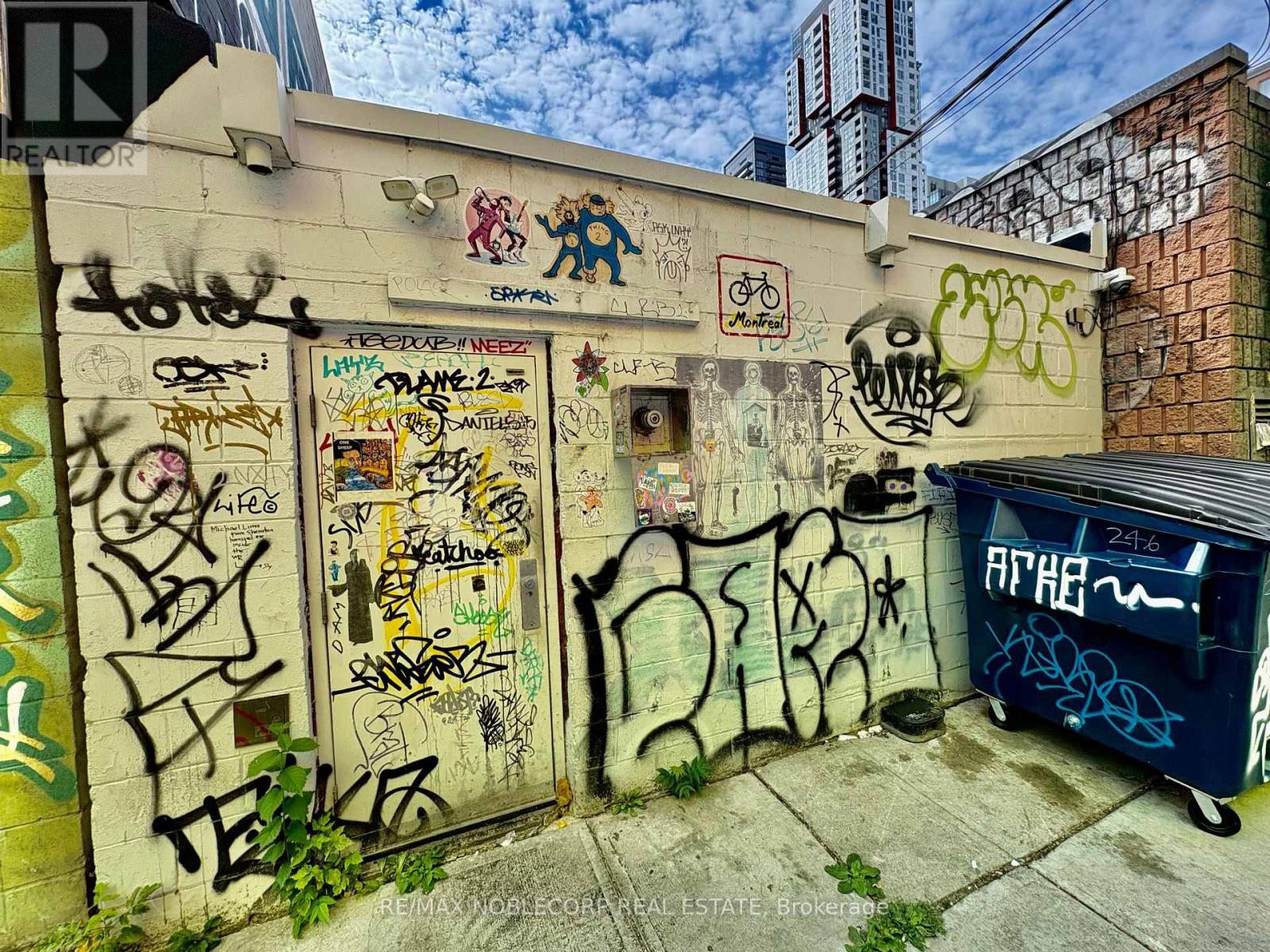 246 Queen Street W, Toronto, Ontario  M5V 1Z7 - Photo 26 - C13652704