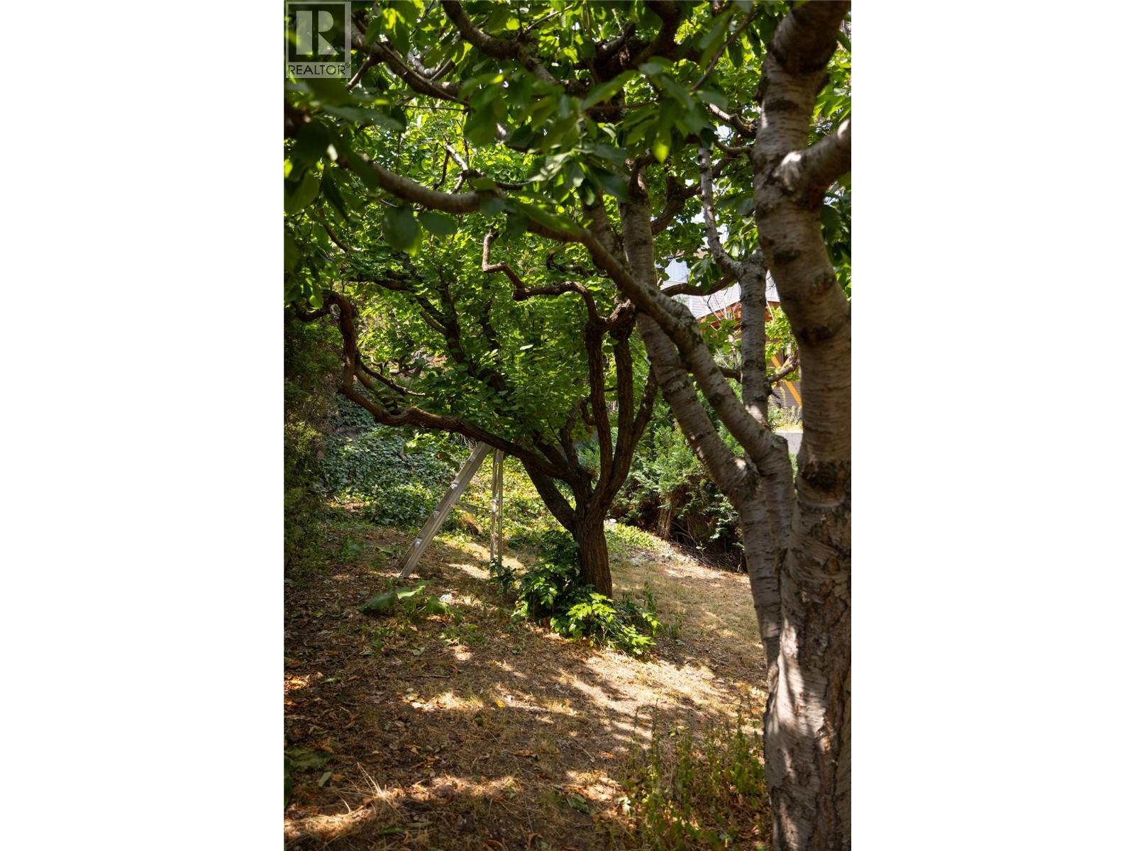 3439 Mciver Road, West Kelowna, British Columbia  V4T 1H7 - Photo 46 - 10376581