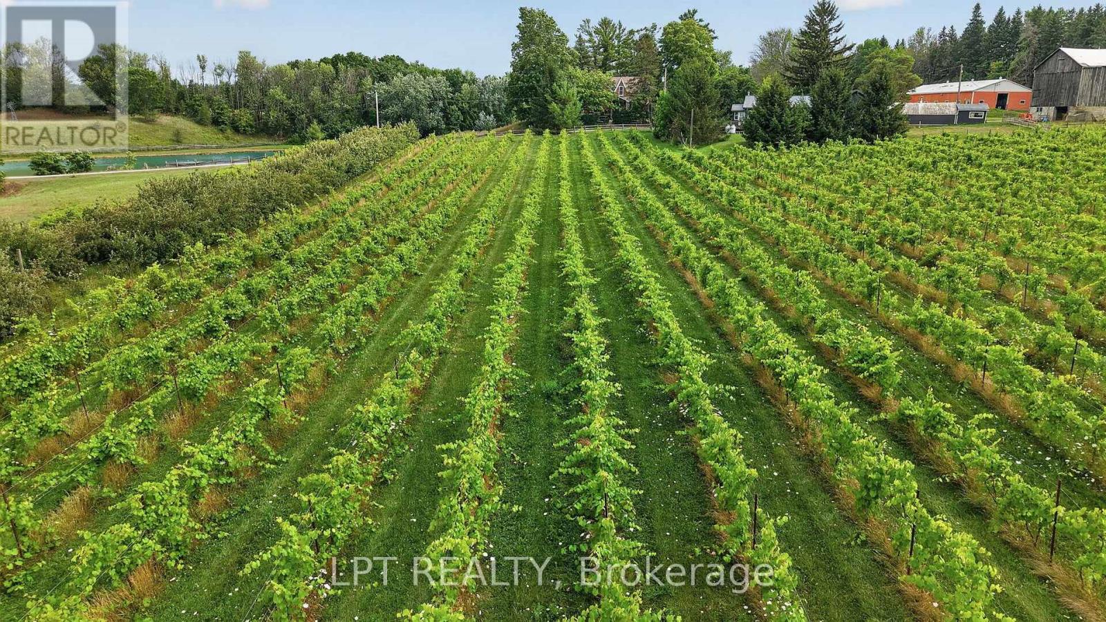 416476 10th Line S, Blue Mountains, Ontario  N0H 1J0 - Photo 49 - X13622602