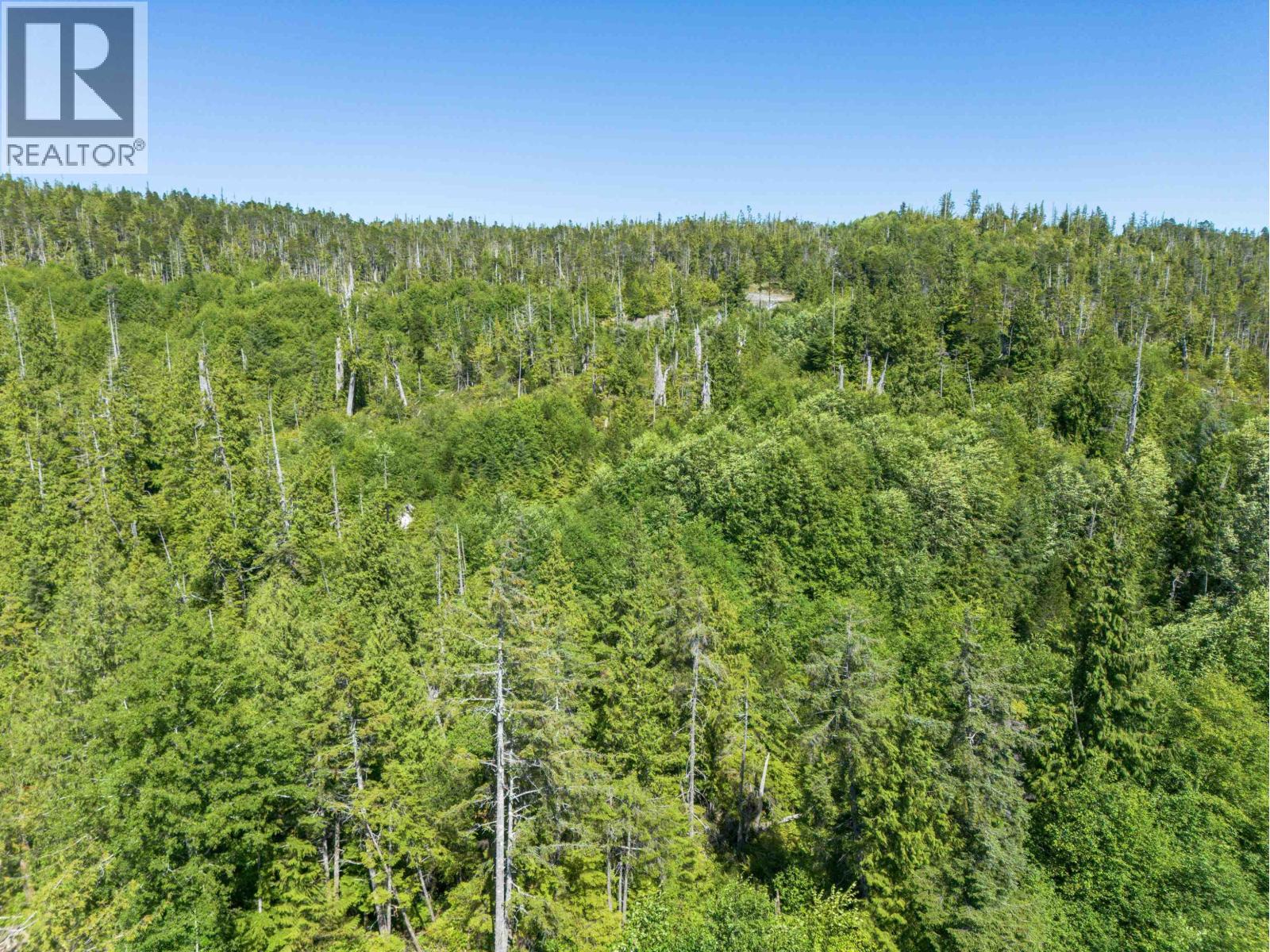 Dl 1699 Porcher Island, Prince Rupert, British Columbia  V0V 1E0 - Photo 7 - R3153809