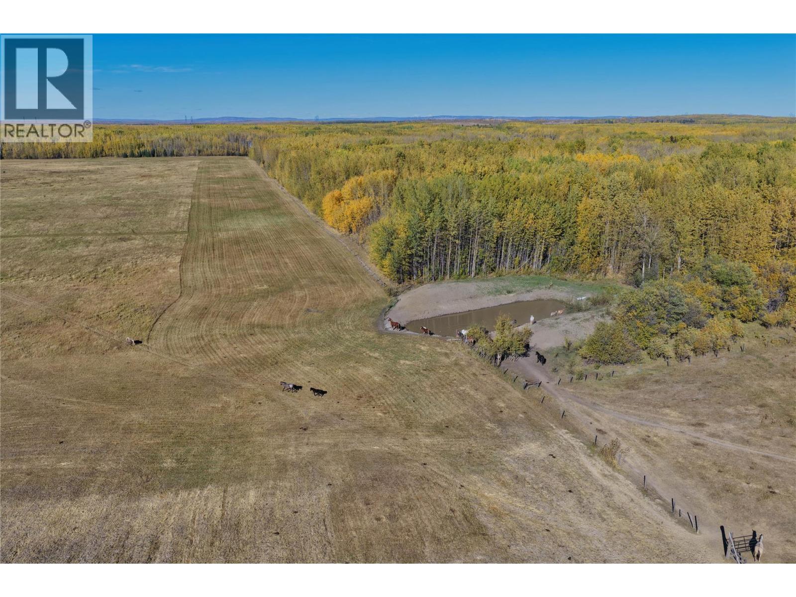 790/770 Jackfish Lake Road, Chetwynd, British Columbia  V0C 1J0 - Photo 4 - 10388528