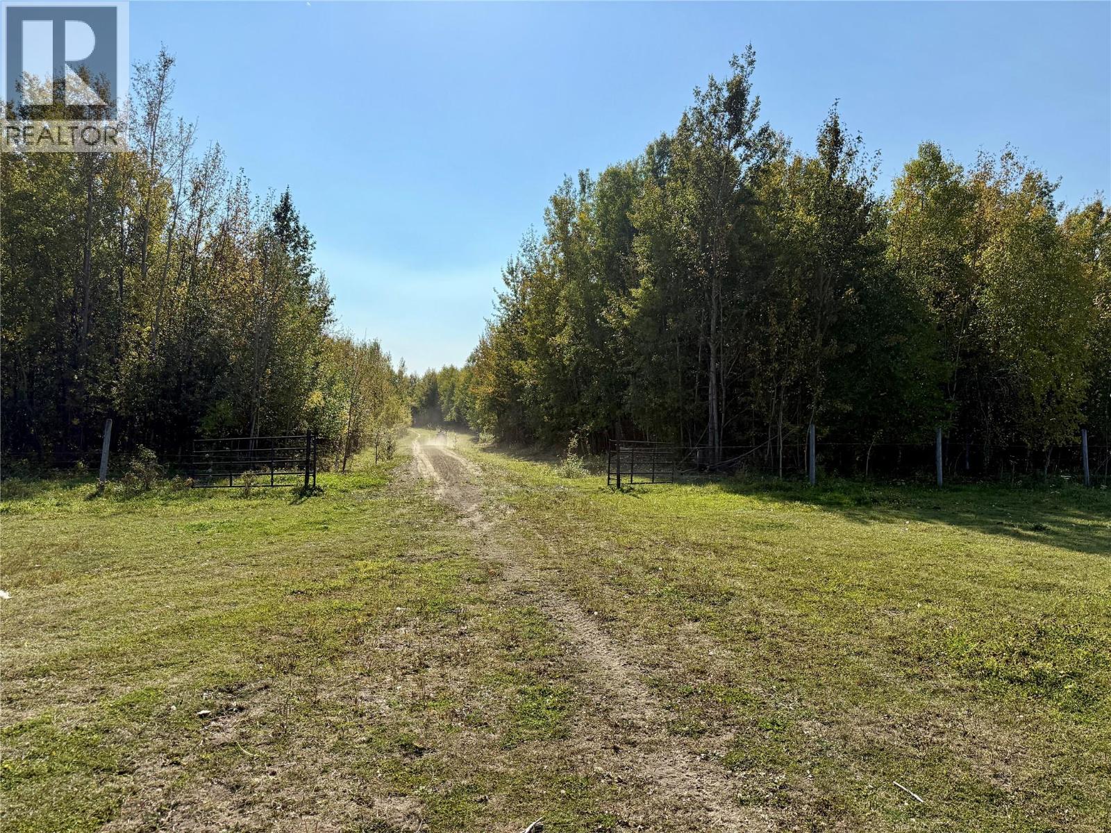 picture 44
