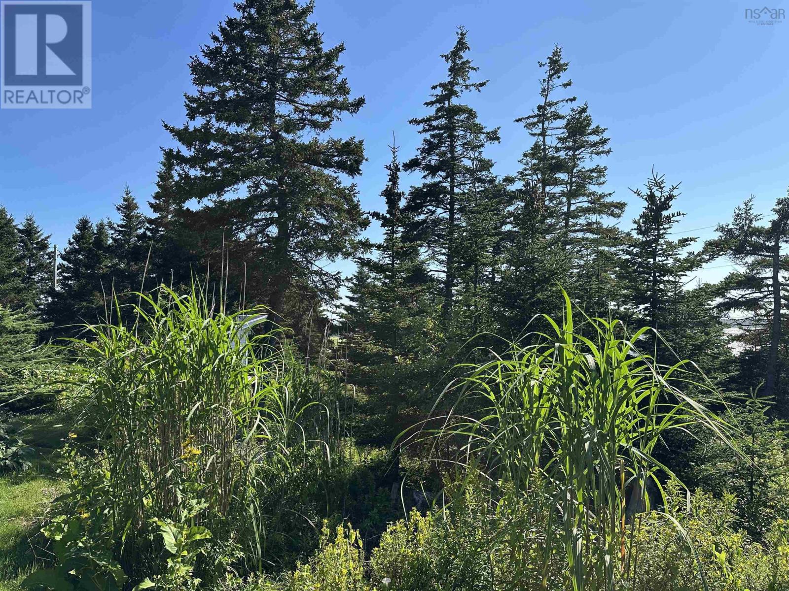 Lot 27 Hawkey Island Road, Three Fathom Harbour, Nova Scotia  B0J 2L0 - Photo 7 - 202619910