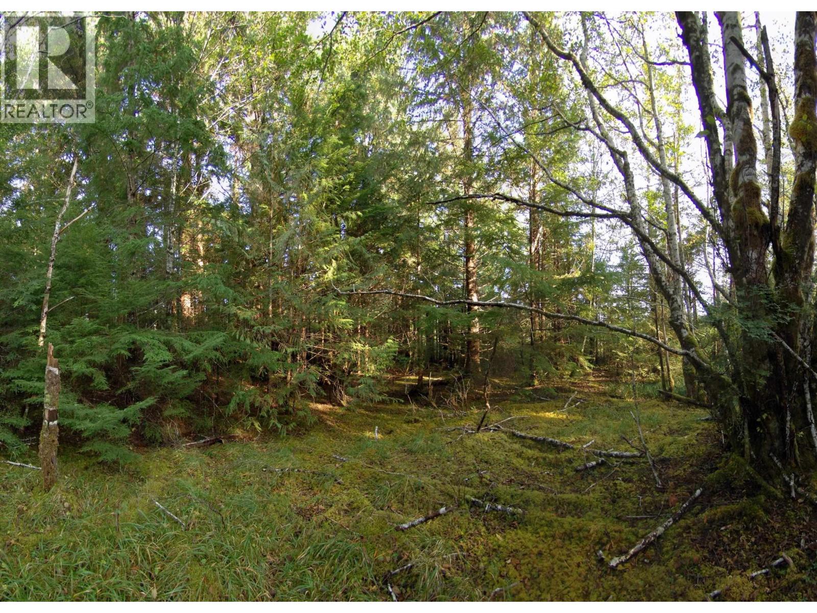 Dl 1302-1303 Goble Point, Prince Rupert, British Columbia  V0V 1E0 - Photo 33 - R3153389