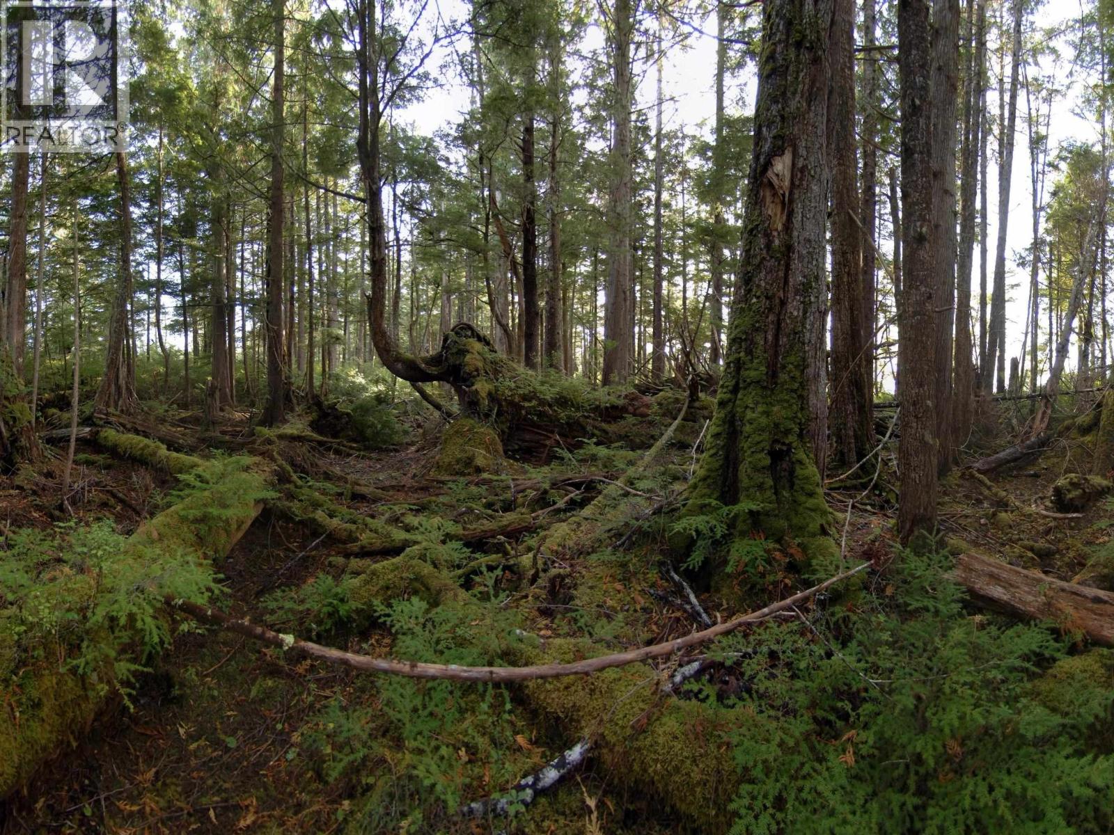 Dl 1302-1303 Goble Point, Prince Rupert, British Columbia  V0V 1E0 - Photo 27 - R3153389