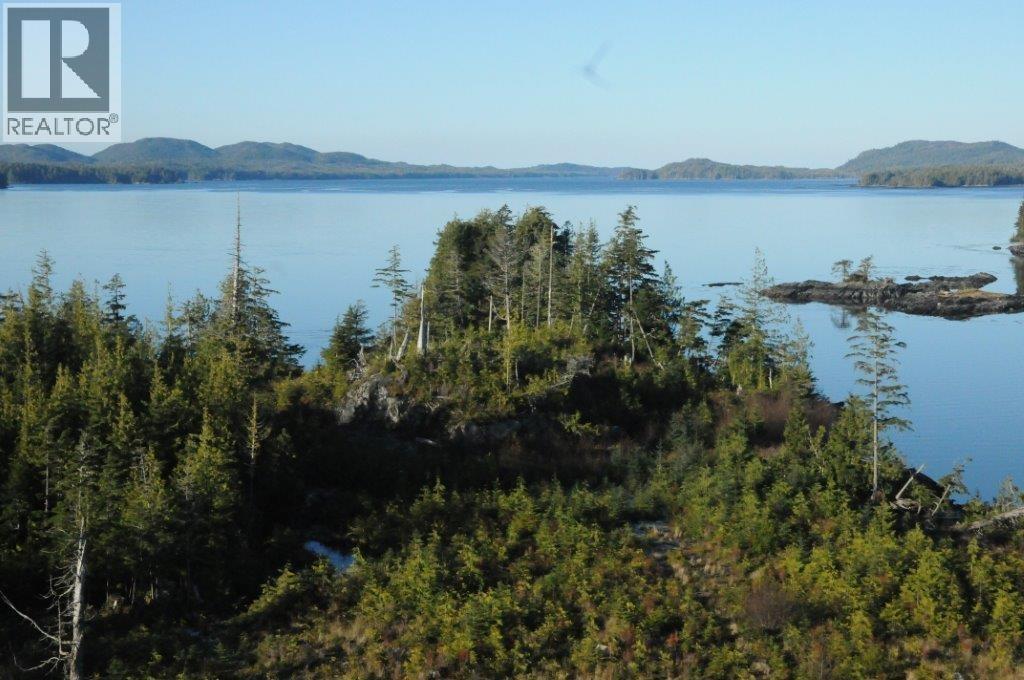 Dl 88 Hanson Island, Prince Rupert, British Columbia  V0T 1S0 - Photo 10 - R3153417