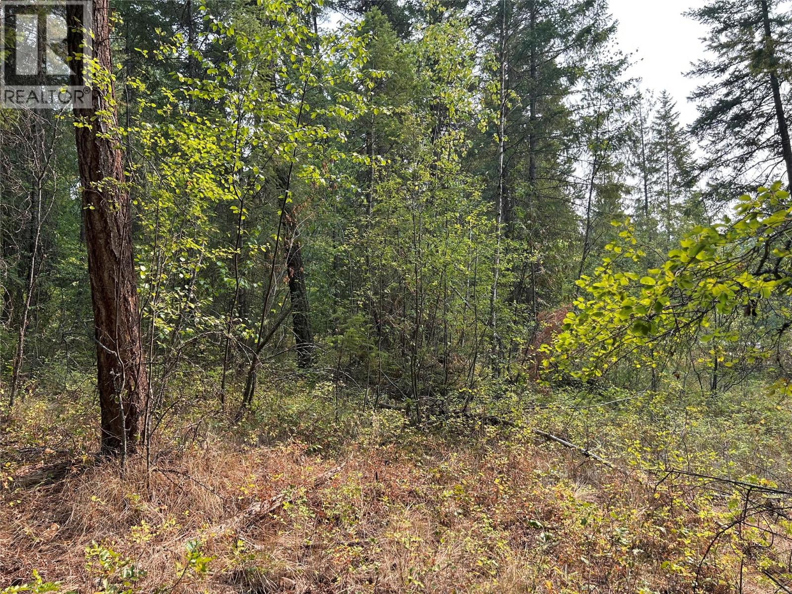8568 Black Mountain Road, Chase, British Columbia  V0E 1M0 - Photo 4 - 10396942