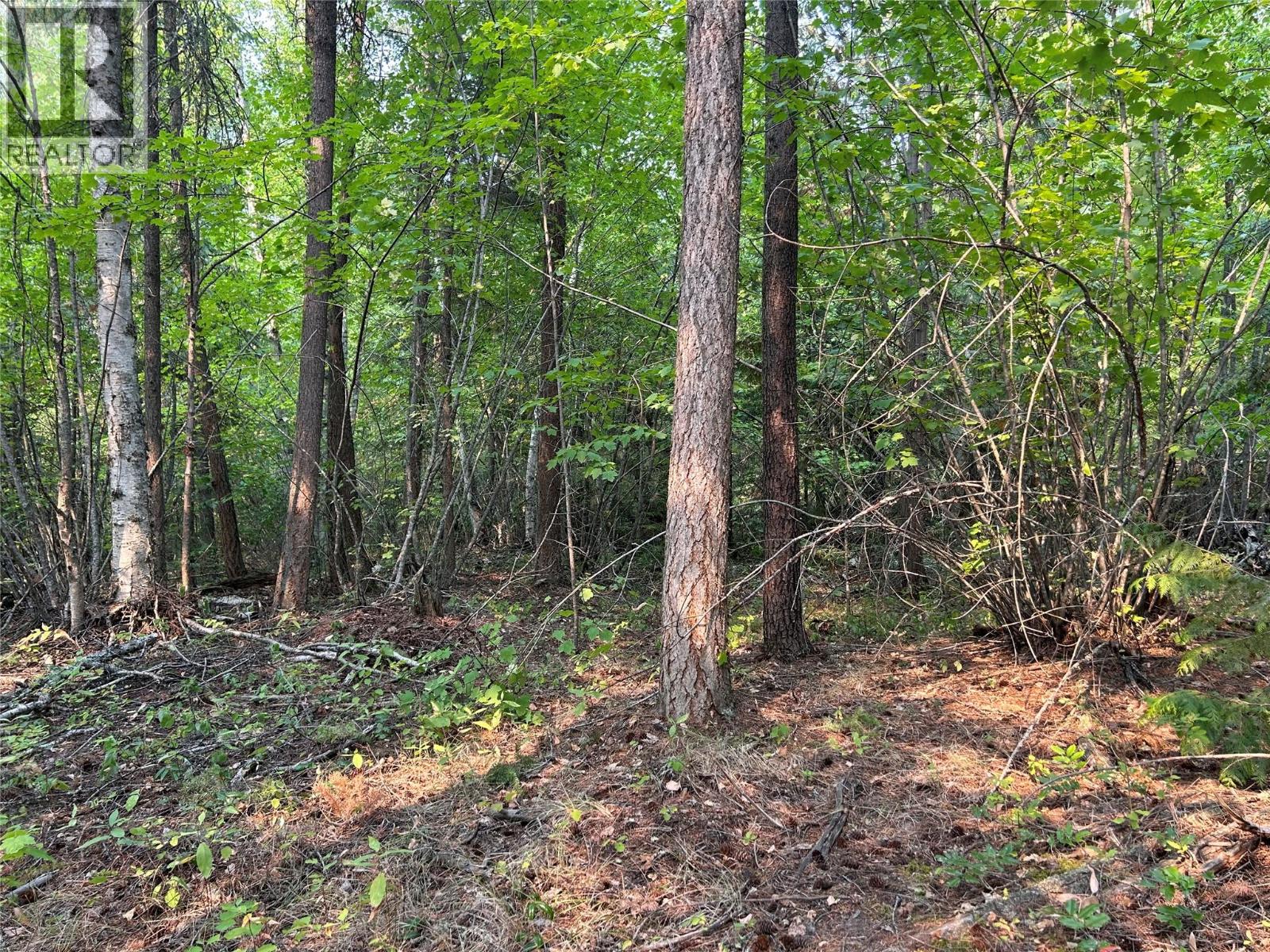 8568 Black Mountain Road, Chase, British Columbia  V0E 1M0 - Photo 5 - 10396942