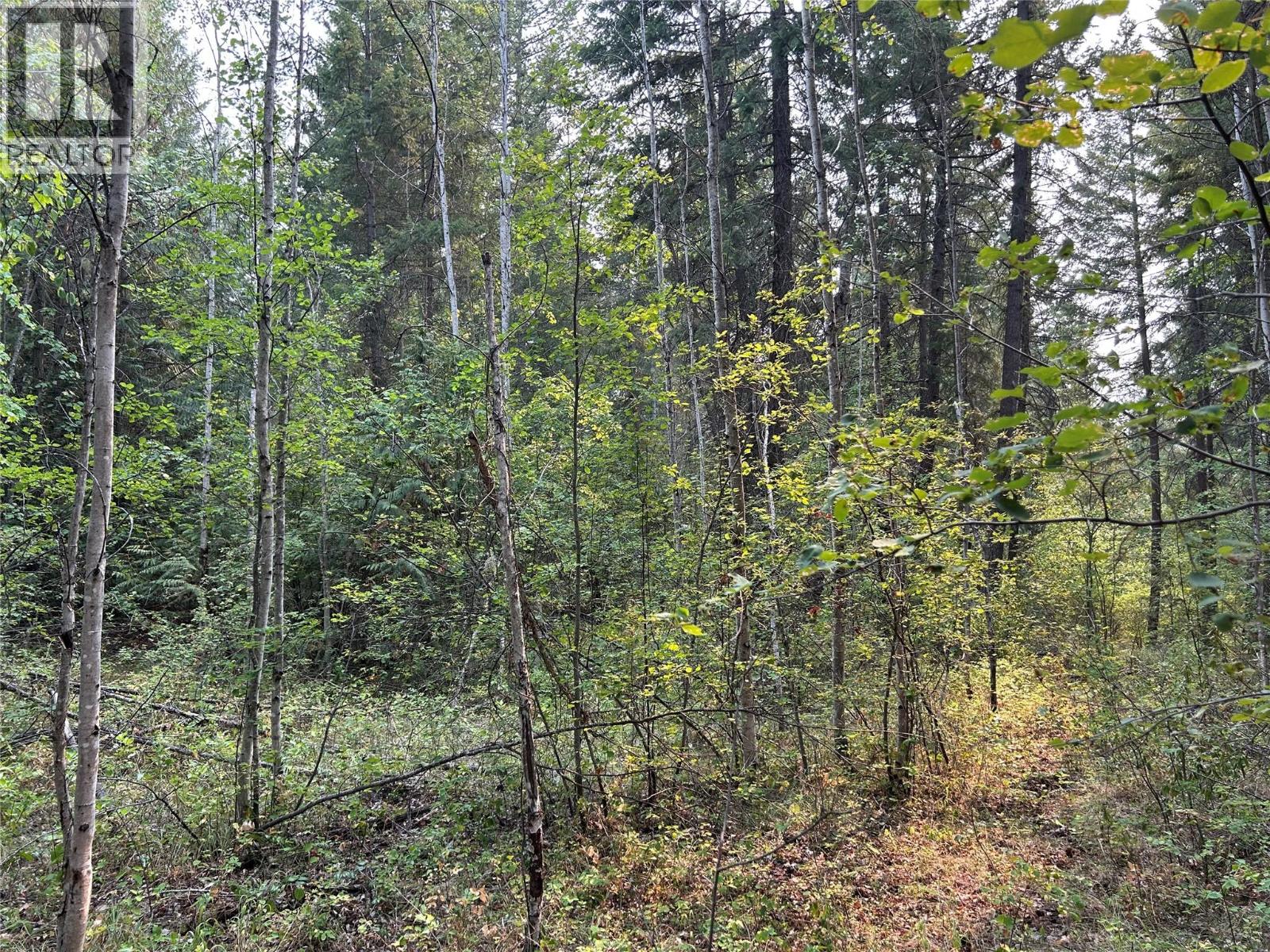 8568 Black Mountain Road, Chase, British Columbia