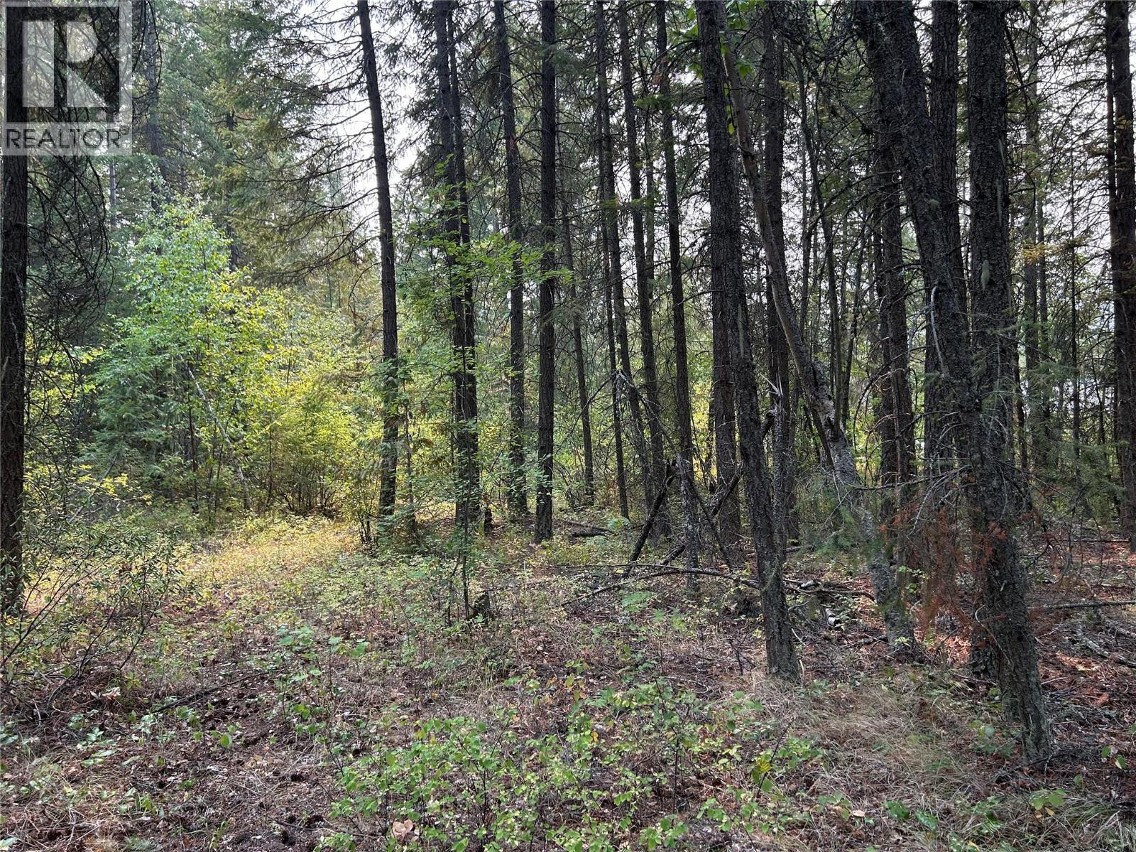 8568 Black Mountain Road, Chase, British Columbia  V0E 1M0 - Photo 2 - 10396942