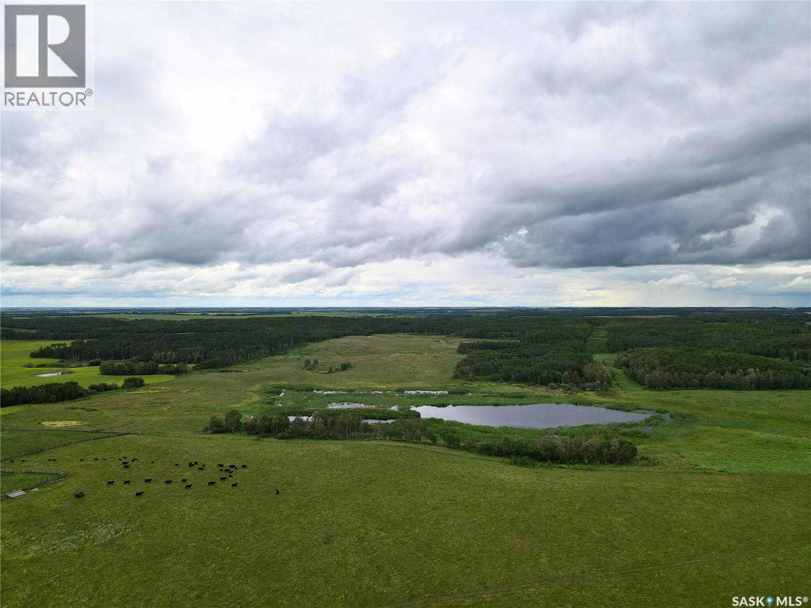 Foster Acreage, Birch Hills Rm No. 460, Saskatchewan  S0J 0G0 - Photo 26 - SK045003
