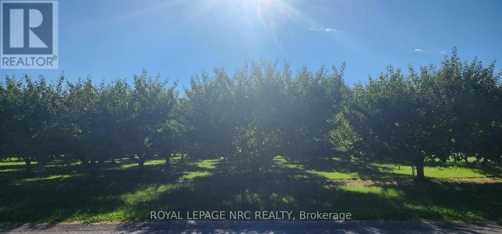 502 - 1501 Line 8 Road, Niagara-On-The-Lake, Ontario  L0S 1J0 - Photo 16 - X13653332